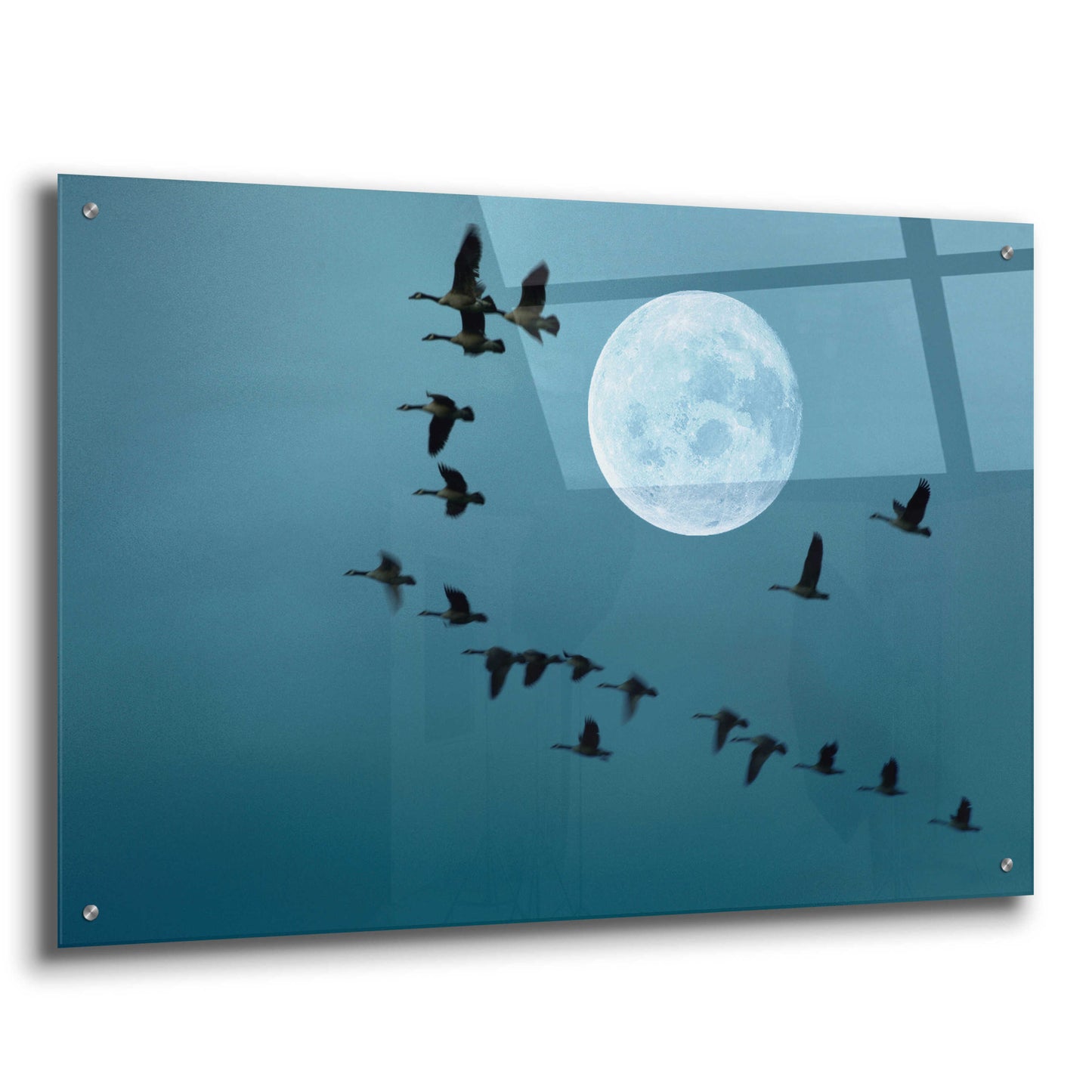 Epic Art 'Fly away' by Ata Alishahi, Acrylic Glass Wall Art,36x24