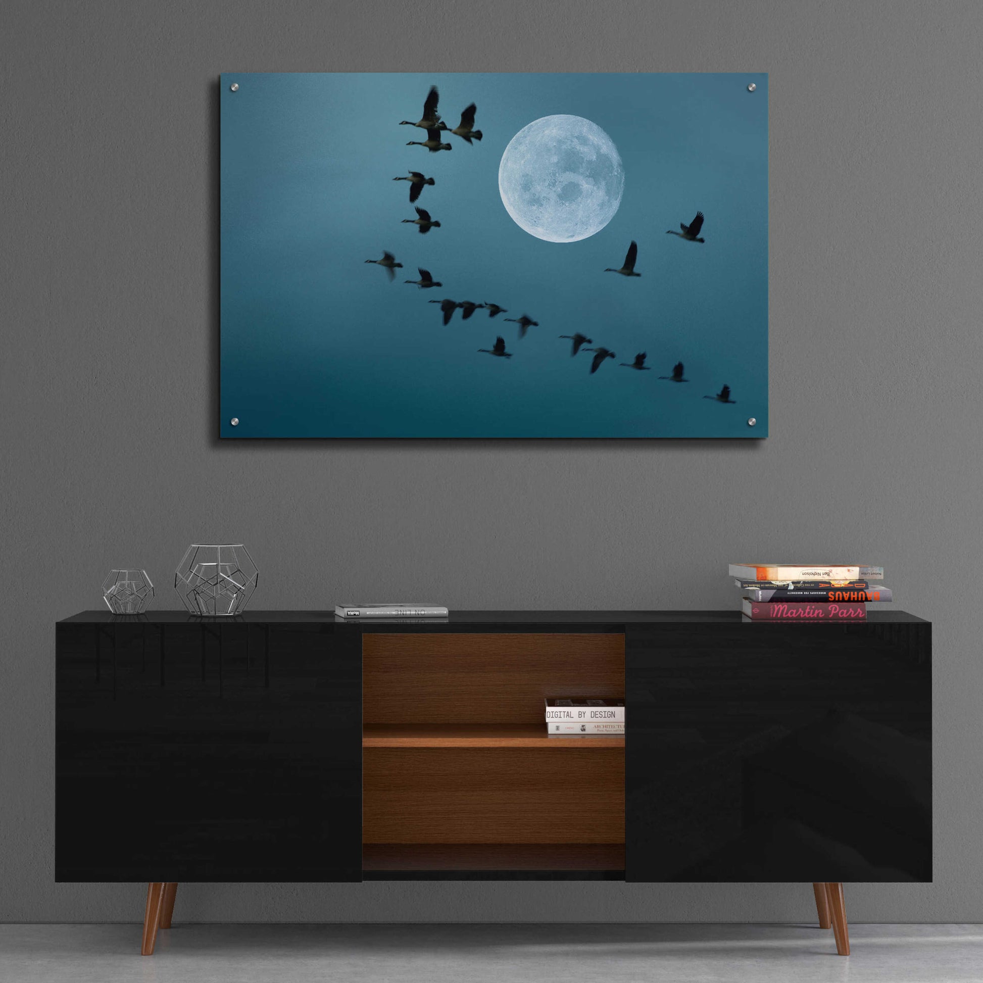 Epic Art 'Fly away' by Ata Alishahi, Acrylic Glass Wall Art,36x24