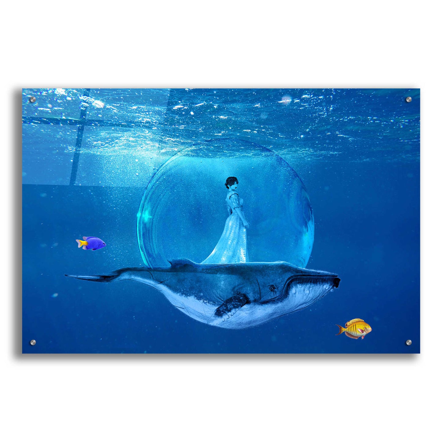 Epic Art 'Ocean World 3' by Ata Alishahi, Acrylic Glass Wall Art,36x24