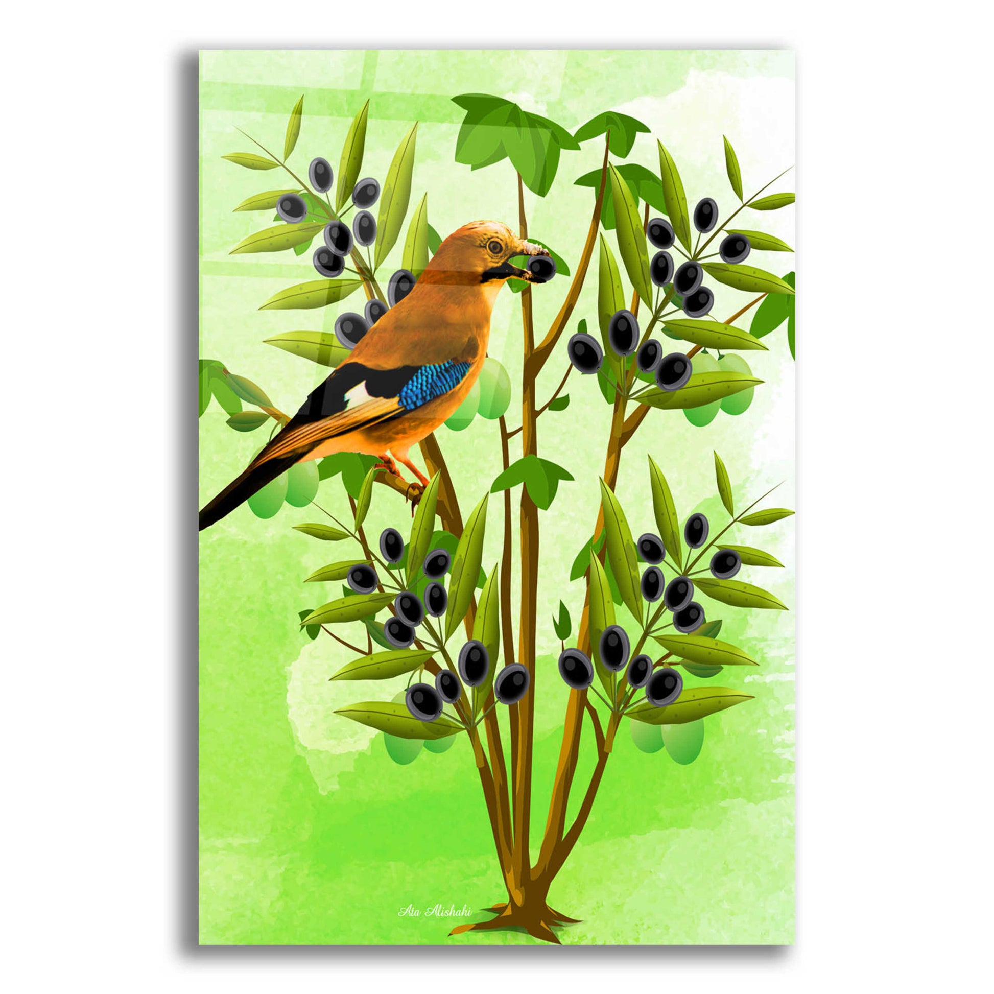 Epic Art 'Bird on Plant' by Ata Alishahi, Acrylic Glass Wall Art,16x24