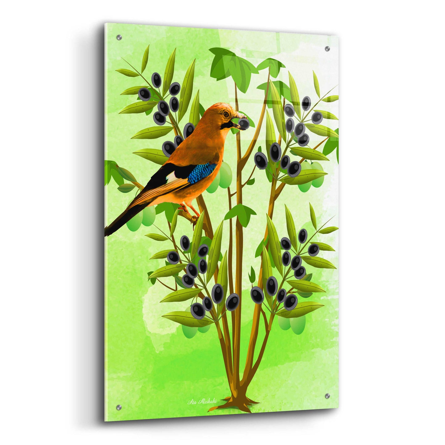 Epic Art 'Bird on Plant' by Ata Alishahi, Acrylic Glass Wall Art,24x36