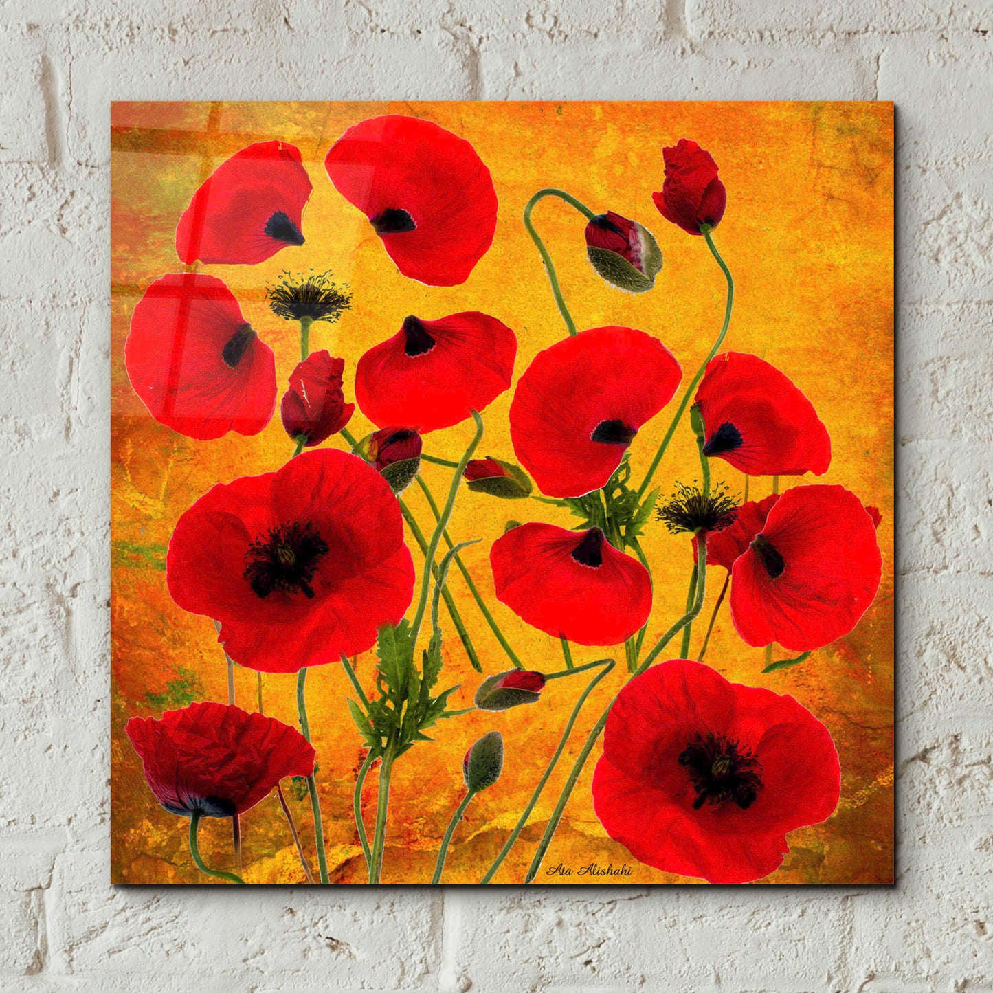 Epic Art 'Poppy Flowers 2' by Ata Alishahi, Acrylic Glass Wall Art,12x12