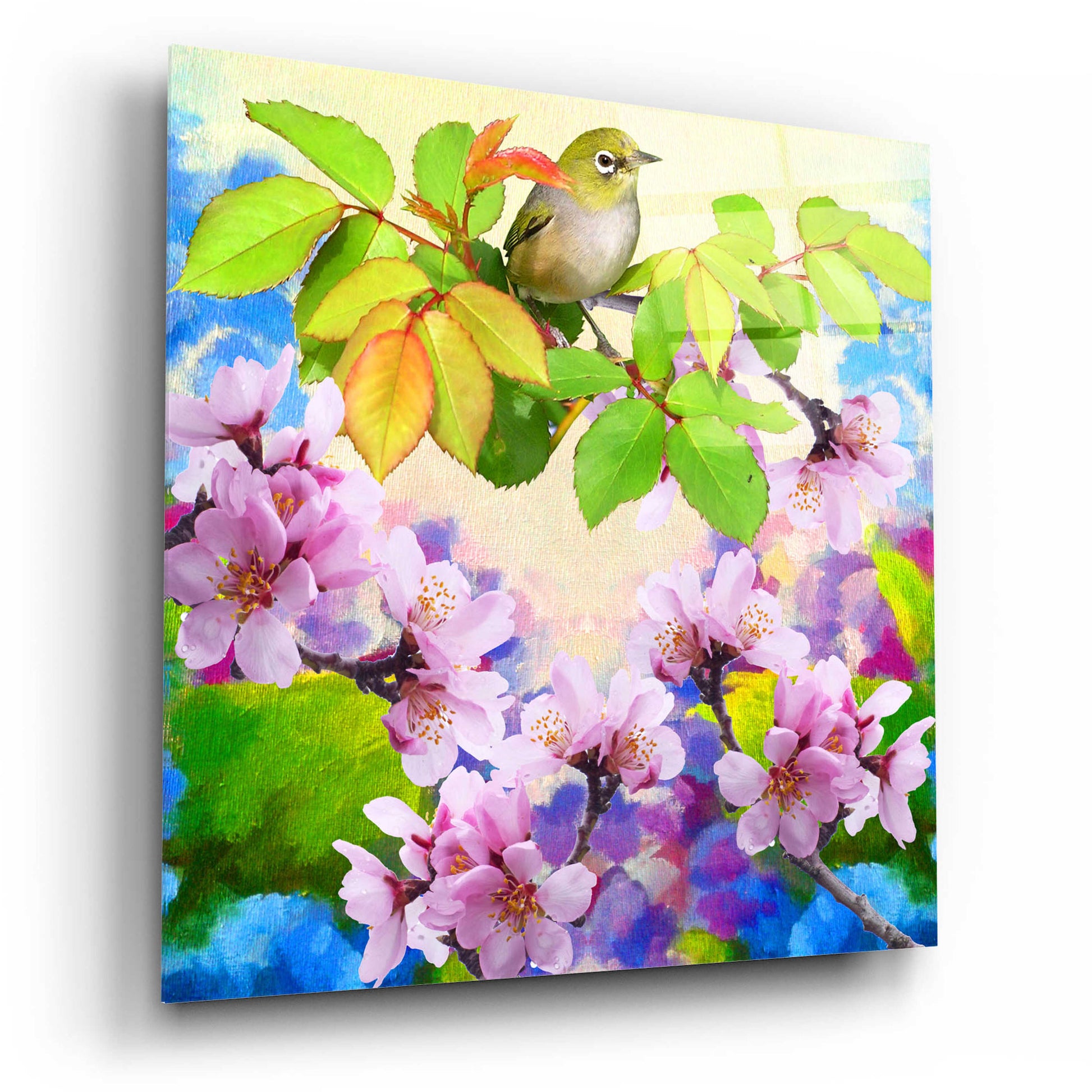 Epic Art 'Spring Colors 2' by Ata Alishahi, Acrylic Glass Wall Art,12x12