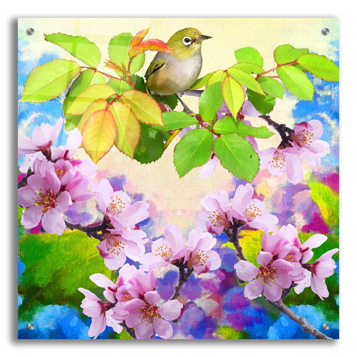 Epic Art 'Spring Colors 2' by Ata Alishahi, Acrylic Glass Wall Art,24x24
