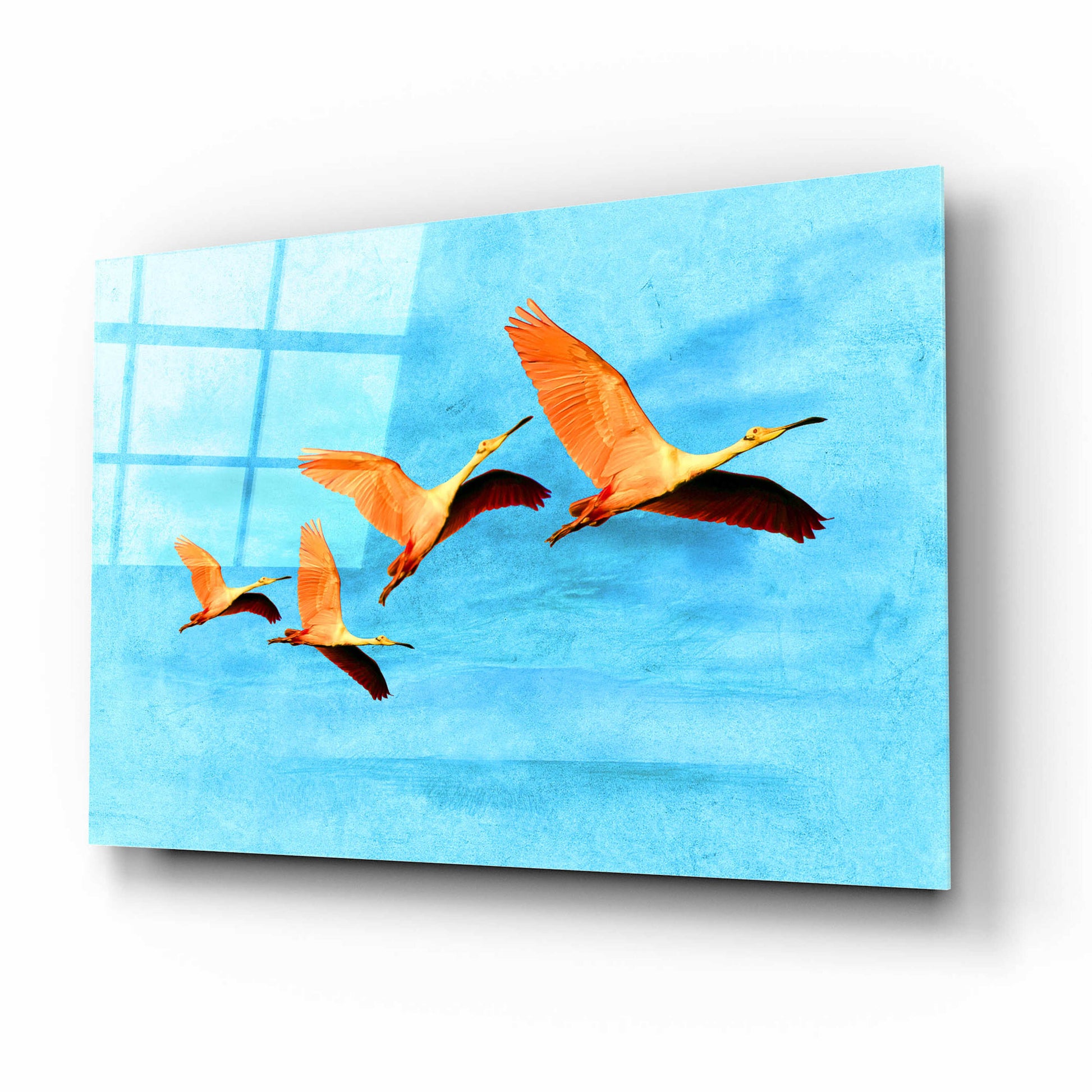 Epic Art 'Blue Bird 2A2' by Ata Alishahi, Acrylic Glass Wall Art,16x12