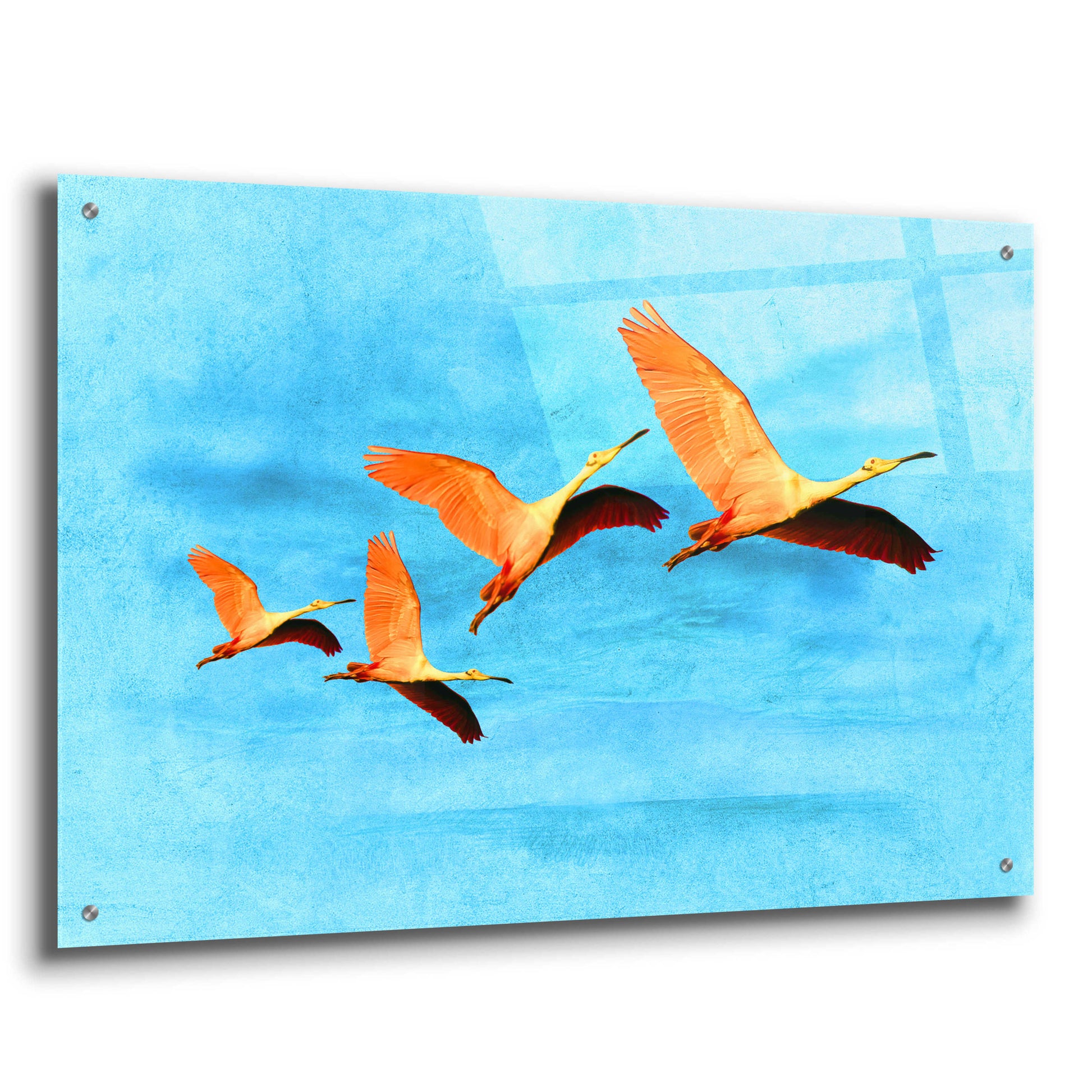 Epic Art 'Blue Bird 2A2' by Ata Alishahi, Acrylic Glass Wall Art,36x24