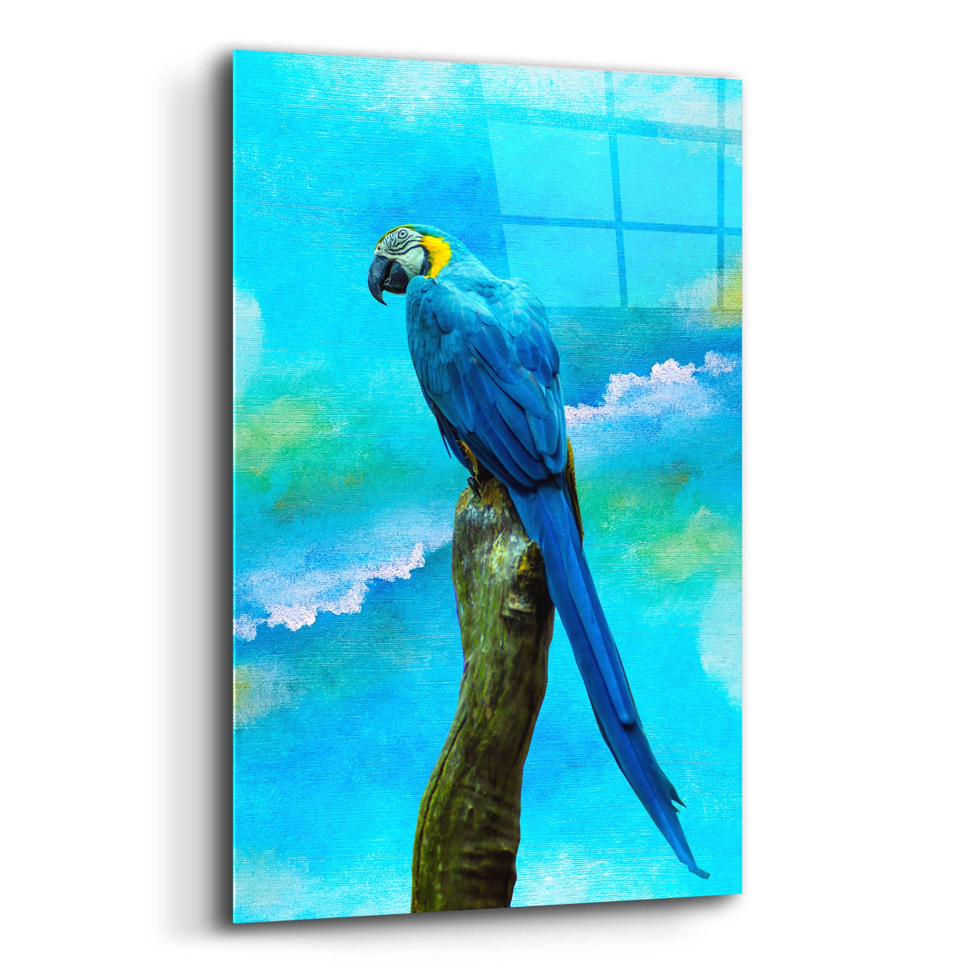 Epic Art 'Blue Parrot' by Ata Alishahi, Acrylic Glass Wall Art,12x16