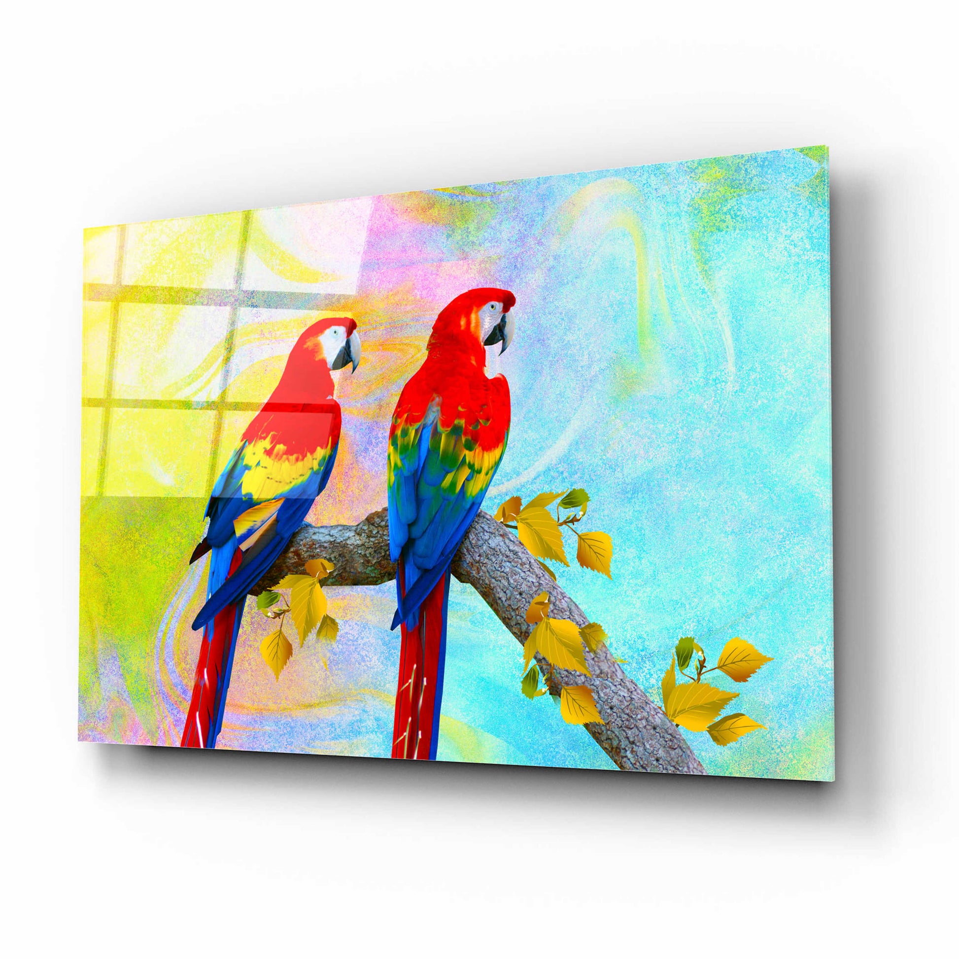 Epic Art 'Parrots 87A' by Ata Alishahi, Acrylic Glass Wall Art,16x12