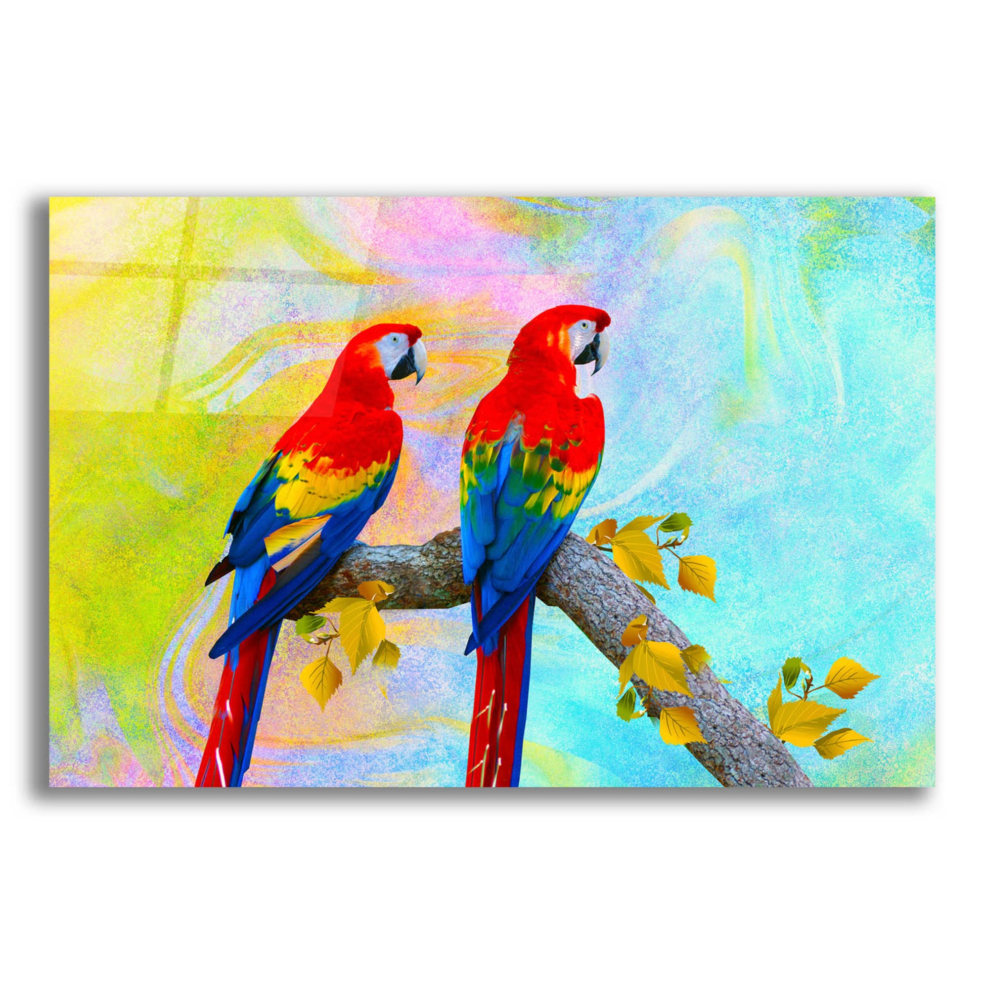 Epic Art 'Parrots 87A' by Ata Alishahi, Acrylic Glass Wall Art,24x16