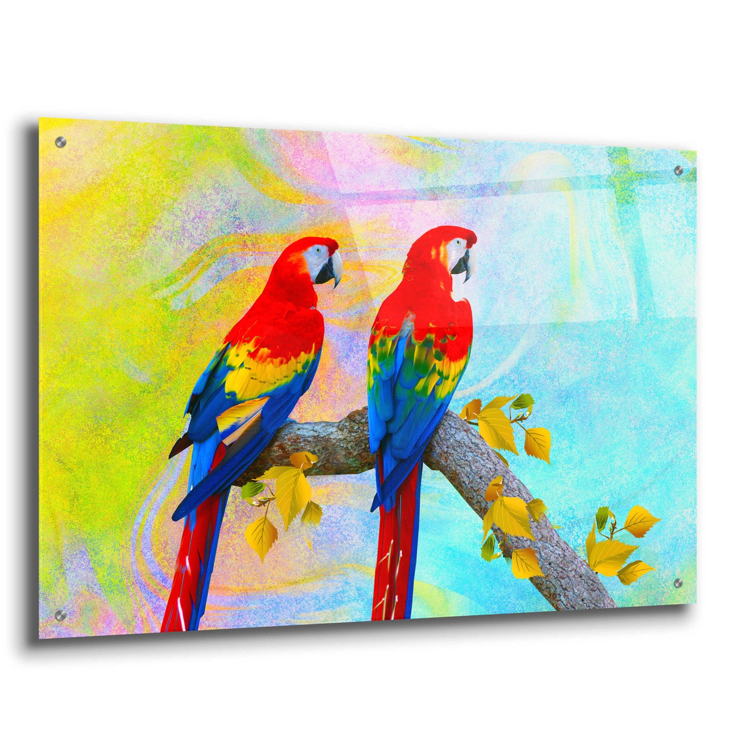 Epic Art 'Parrots 87A' by Ata Alishahi, Acrylic Glass Wall Art,36x24