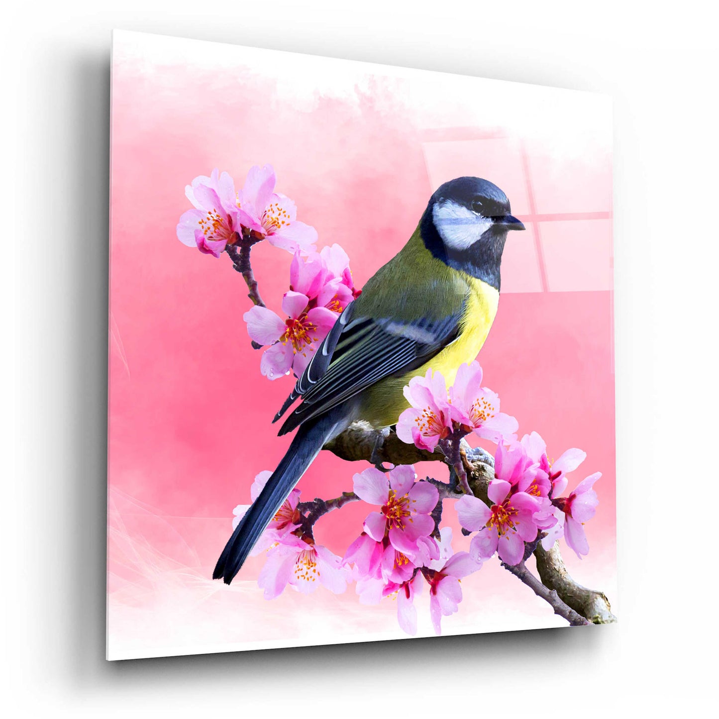 Epic Art 'Spring Bird 3A' by Ata Alishahi, Acrylic Glass Wall Art,12x12