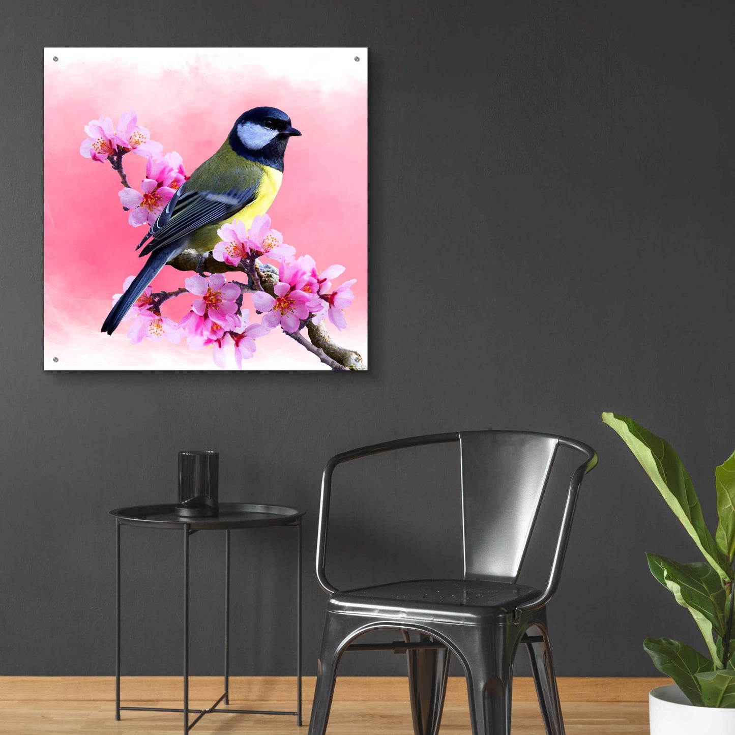 Epic Art 'Spring Bird 3A' by Ata Alishahi, Acrylic Glass Wall Art,36x36