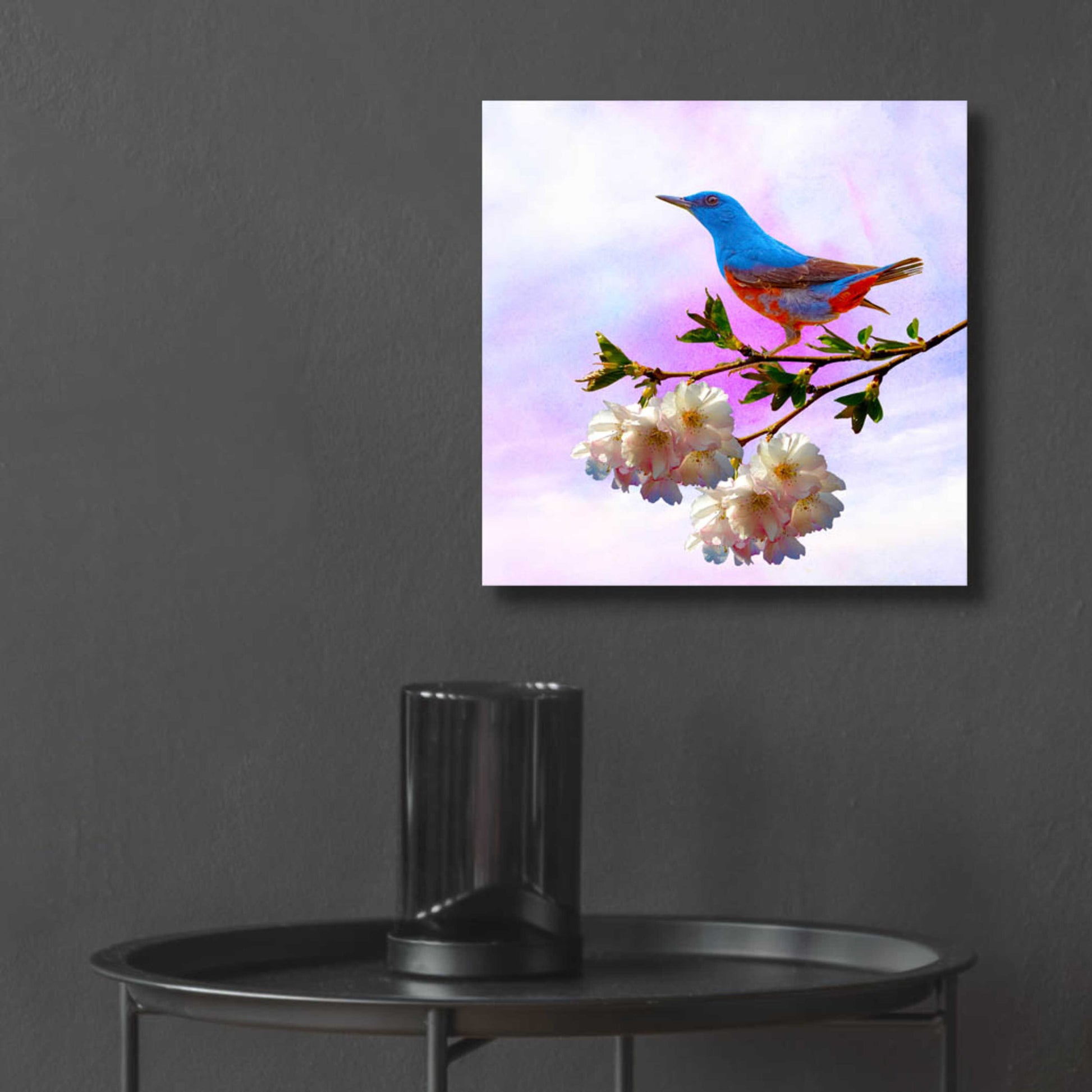 Epic Art 'Spring Bird 3B' by Ata Alishahi, Acrylic Glass Wall Art,12x12