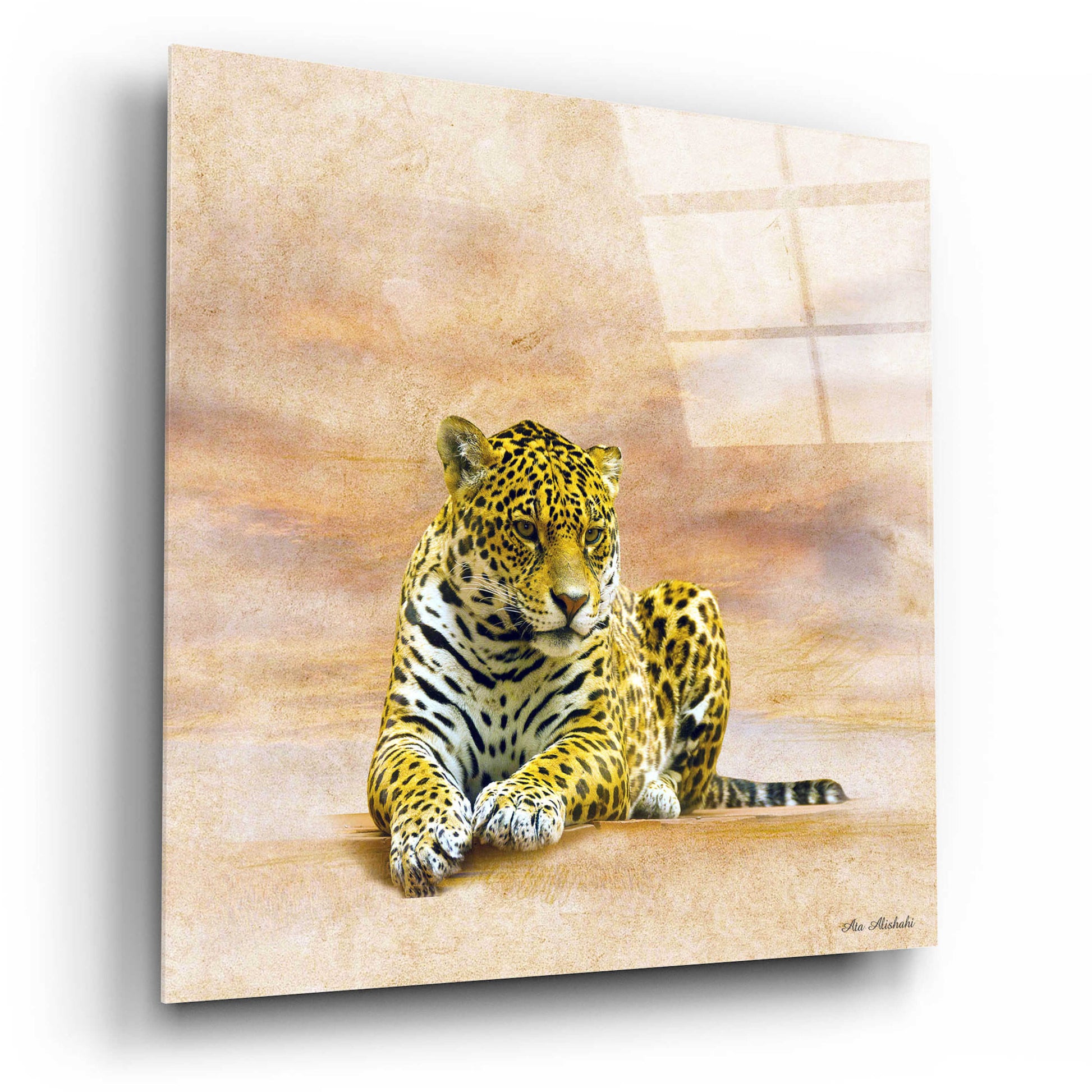 Epic Art 'The Leopard 2A' by Ata Alishahi, Acrylic Glass Wall Art,12x12