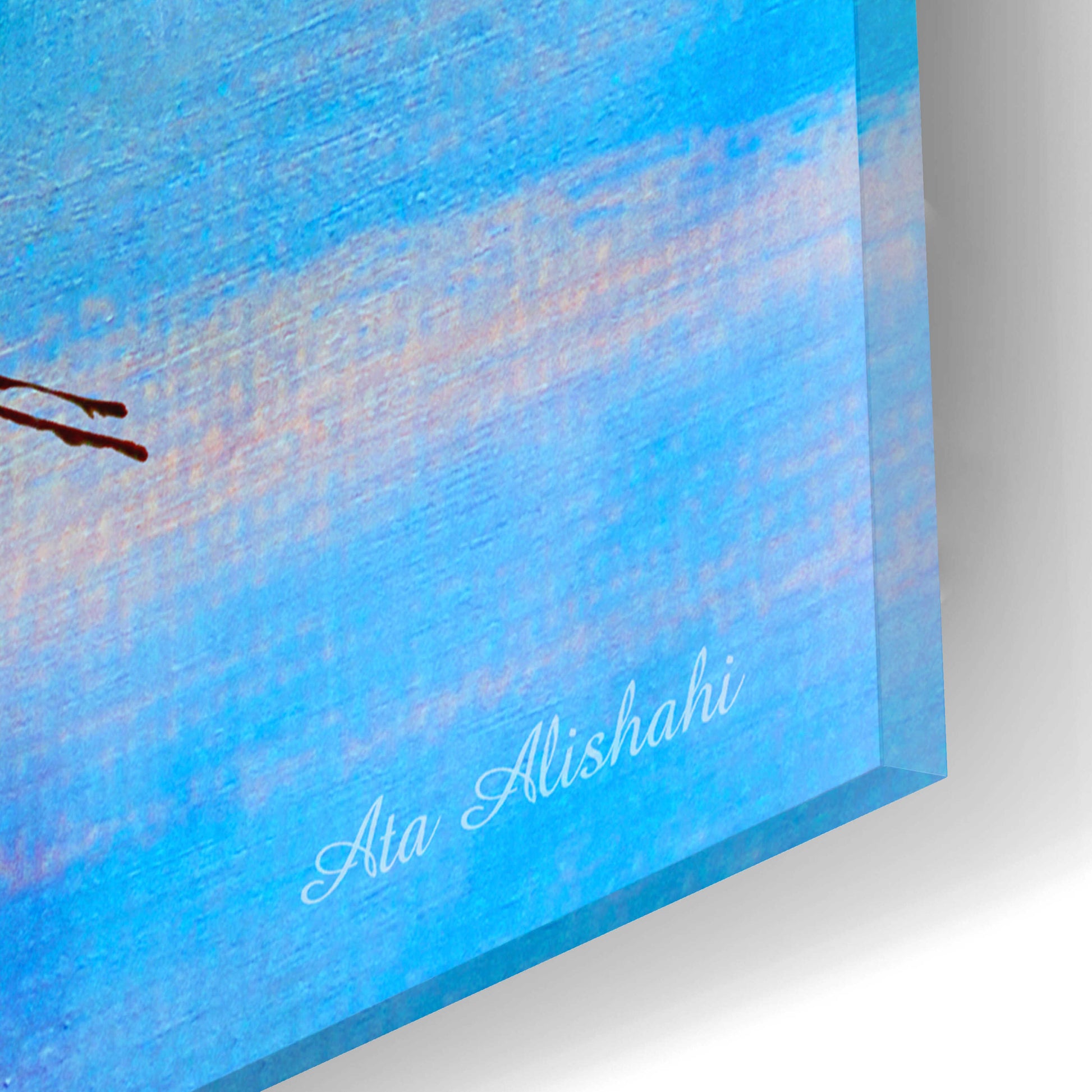 Epic Art 'Blue Bird 2B' by Ata Alishahi, Acrylic Glass Wall Art,16x12