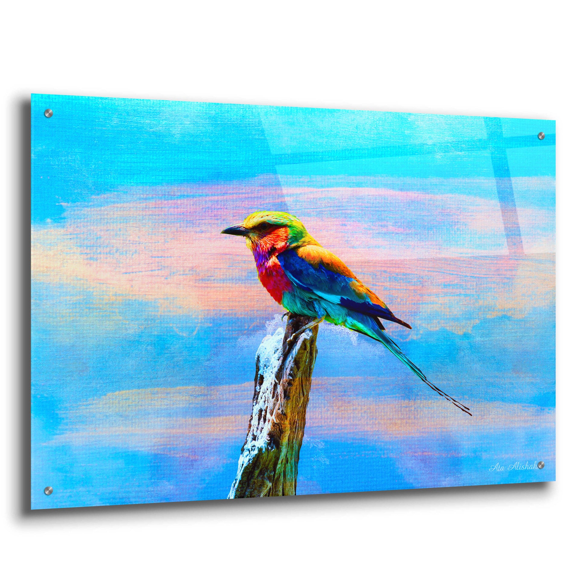 Epic Art 'Blue Bird 2B' by Ata Alishahi, Acrylic Glass Wall Art,36x24