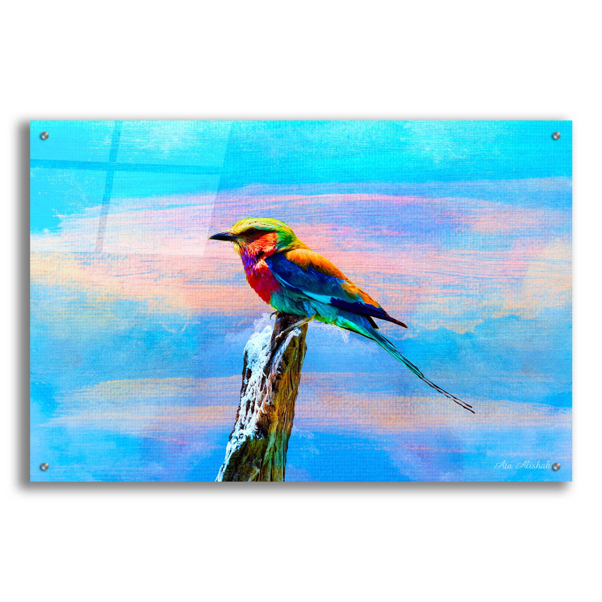 Epic Art 'Blue Bird 2B' by Ata Alishahi, Acrylic Glass Wall Art,36x24