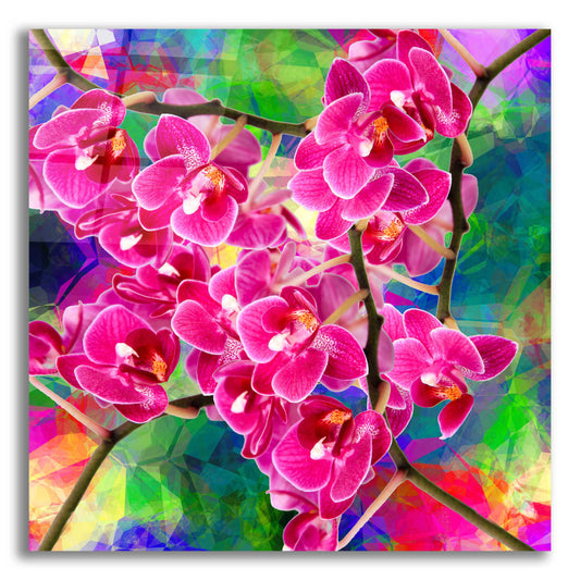 Epic Art 'Flower Spring 2' by Ata Alishahi, Acrylic Glass Wall Art