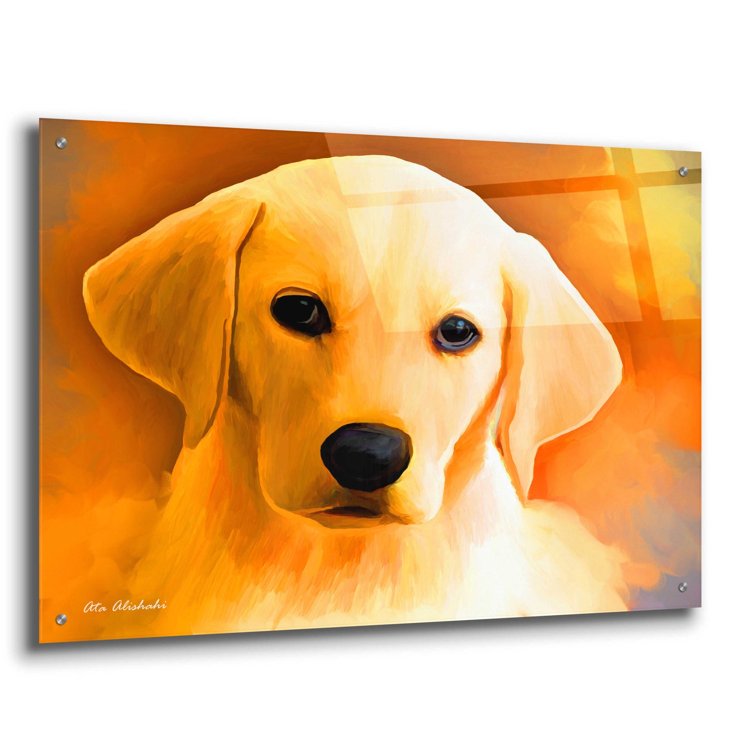 Epic Art 'Puppy' by Ata Alishahi, Acrylic Glass Wall Art,36x24