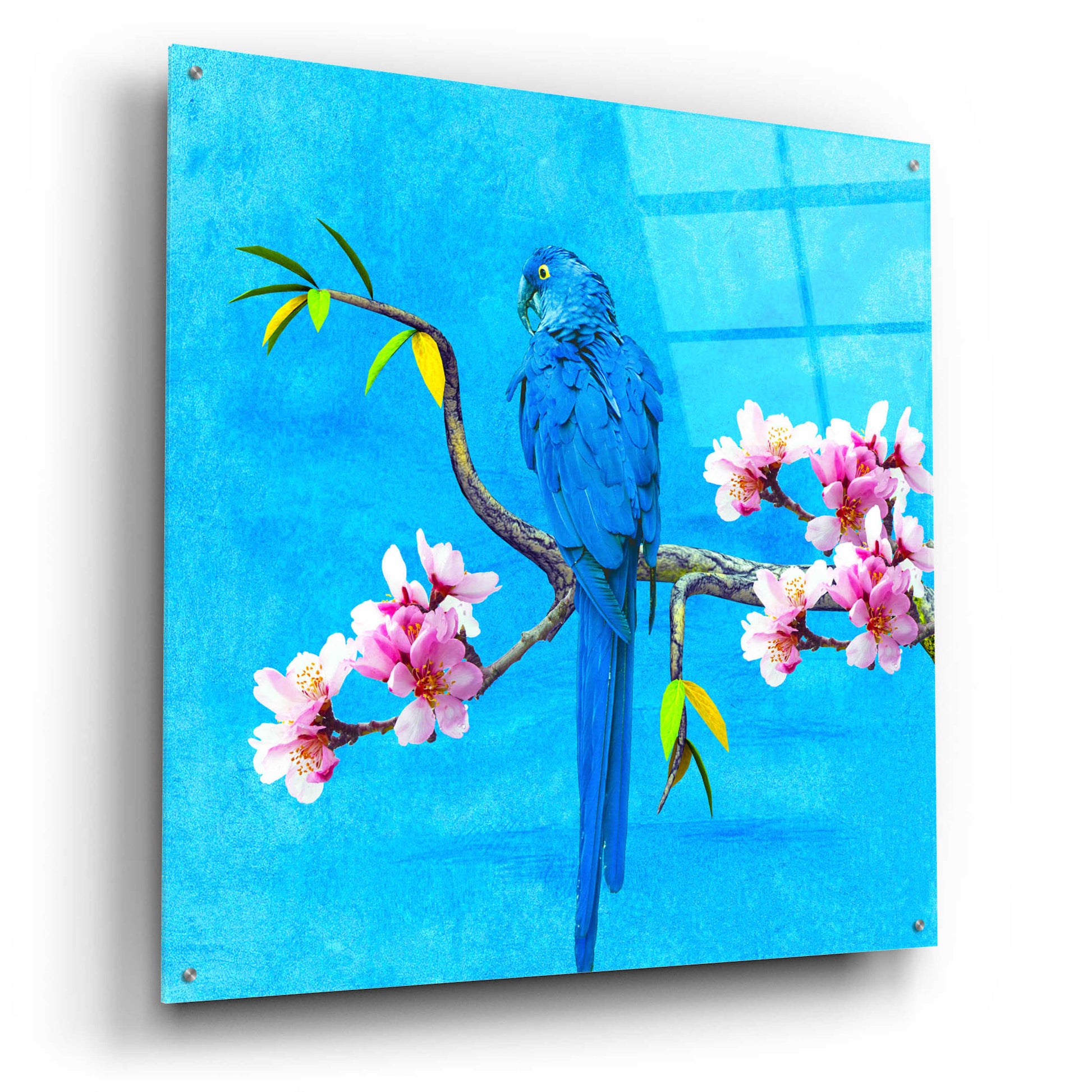 Epic Art 'Spring Bird And Flower' by Ata Alishahi, Acrylic Glass Wall Art,36x36
