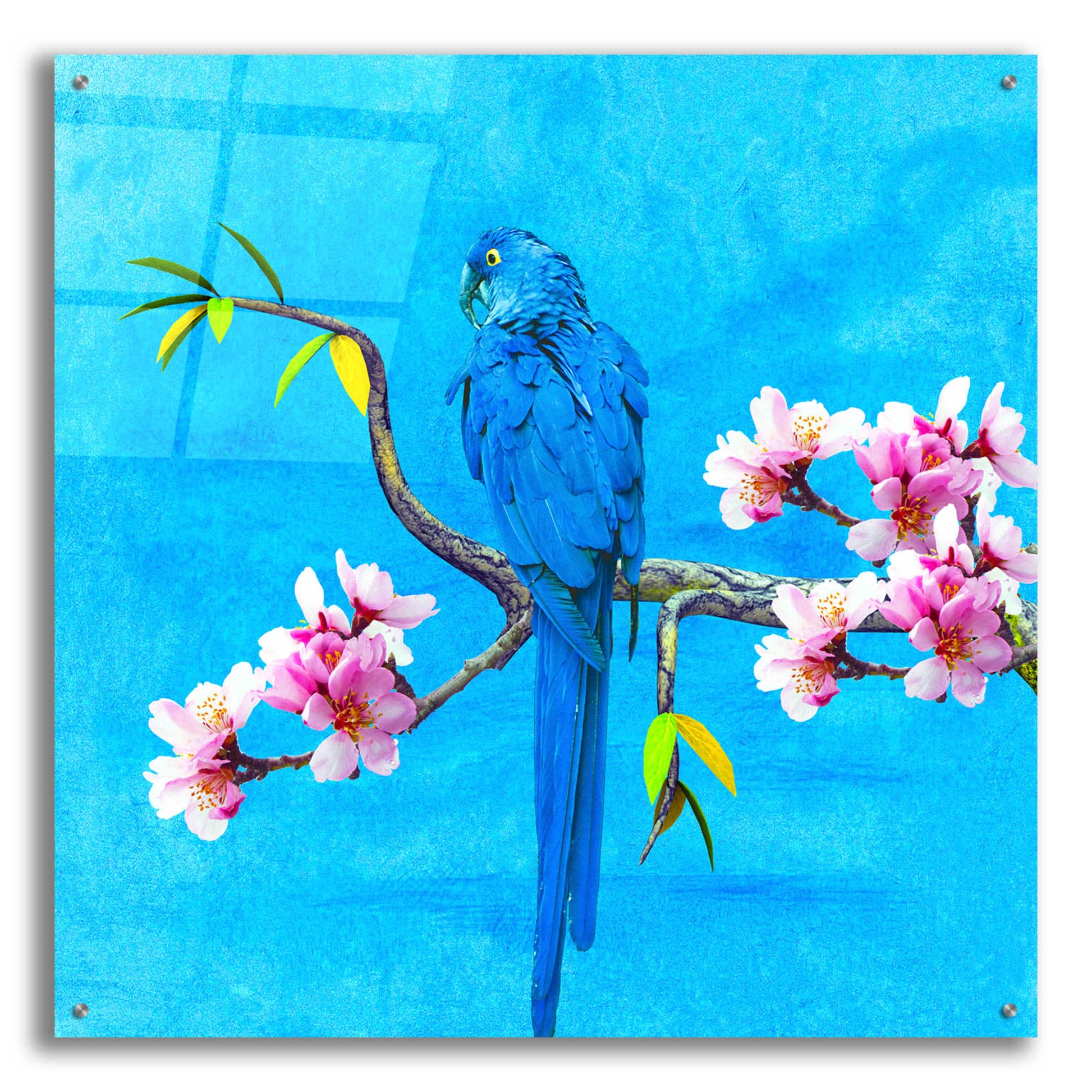 Epic Art 'Spring Bird And Flower' by Ata Alishahi, Acrylic Glass Wall Art,36x36