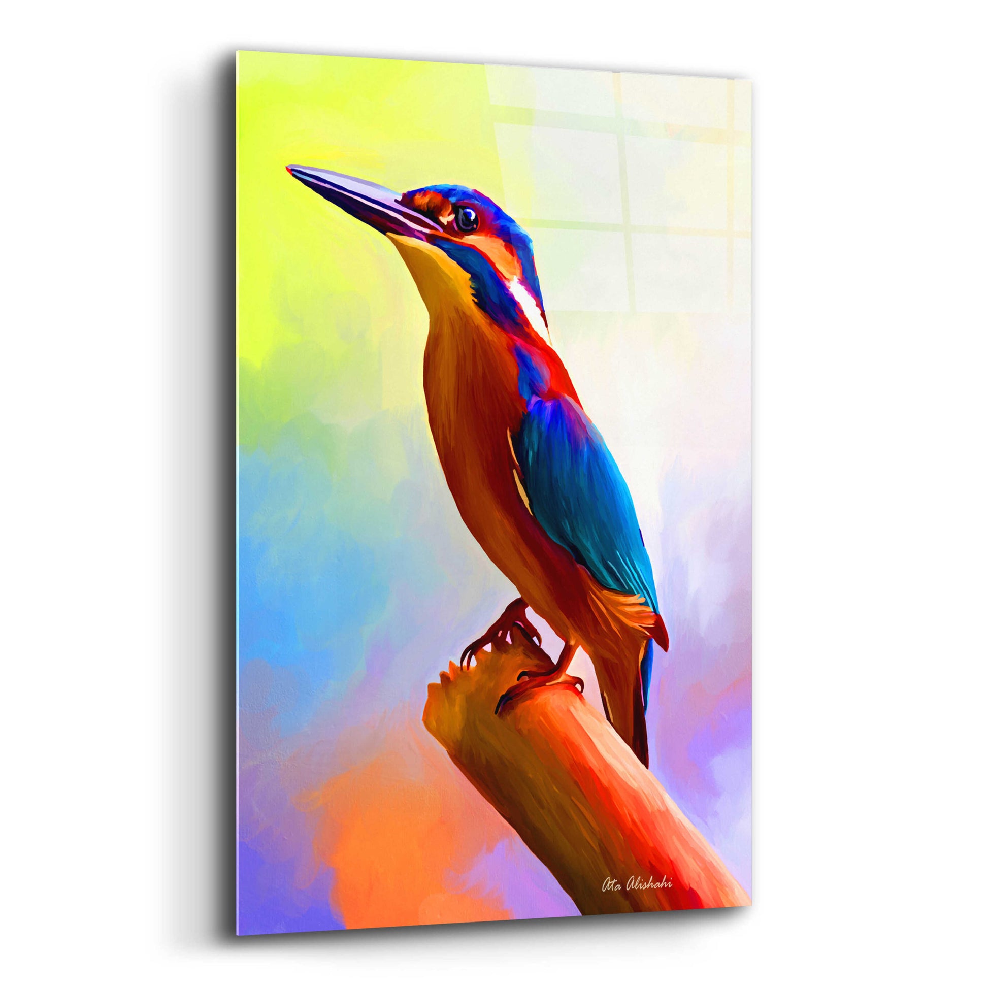 Epic Art 'Tiny Bird' by Ata Alishahi, Acrylic Glass Wall Art,12x16