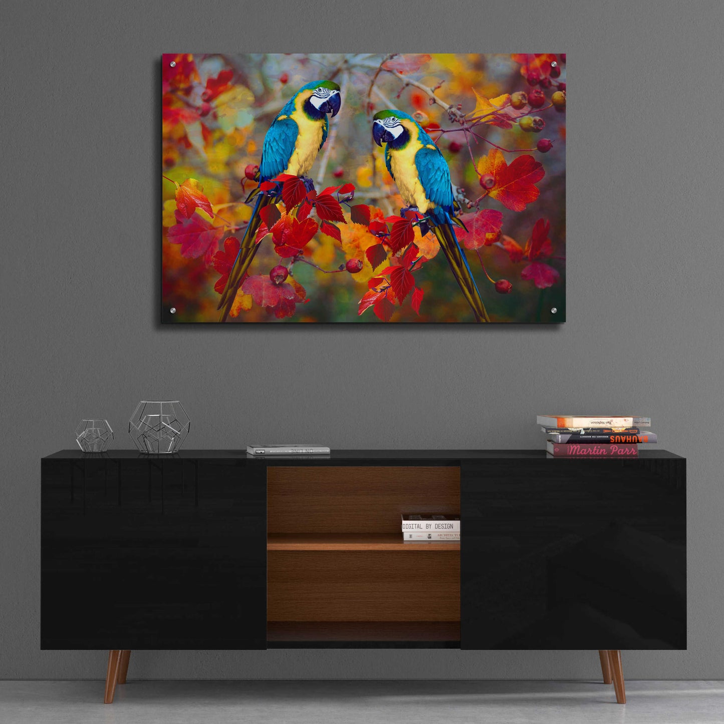 Epic Art 'Bird Collection 19' by Ata Alishahi, Acrylic Glass Wall Art,36x24