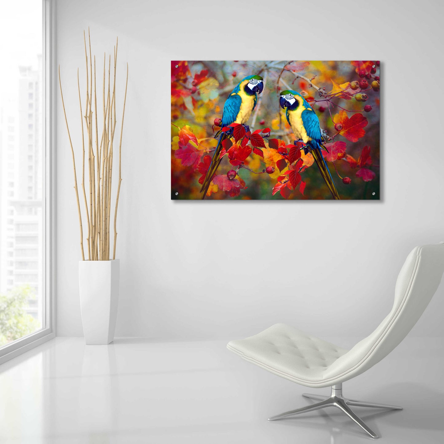 Epic Art 'Bird Collection 19' by Ata Alishahi, Acrylic Glass Wall Art,36x24