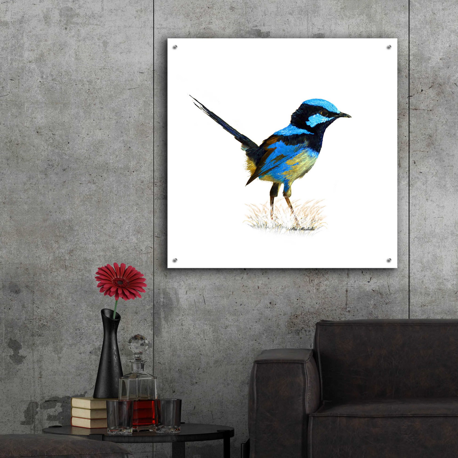 Epic Art 'Bird Collection 21' by Ata Alishahi, Acrylic Glass Wall Art,36x36