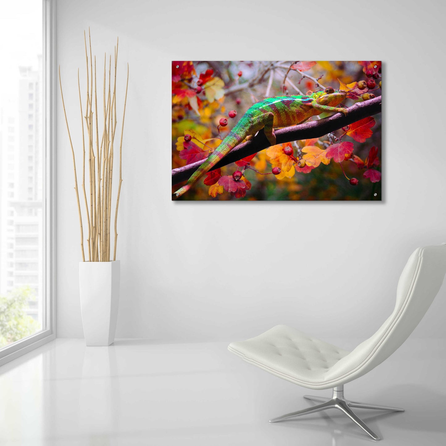 Epic Art 'Chameleons' by Ata Alishahi, Acrylic Glass Wall Art,36x24