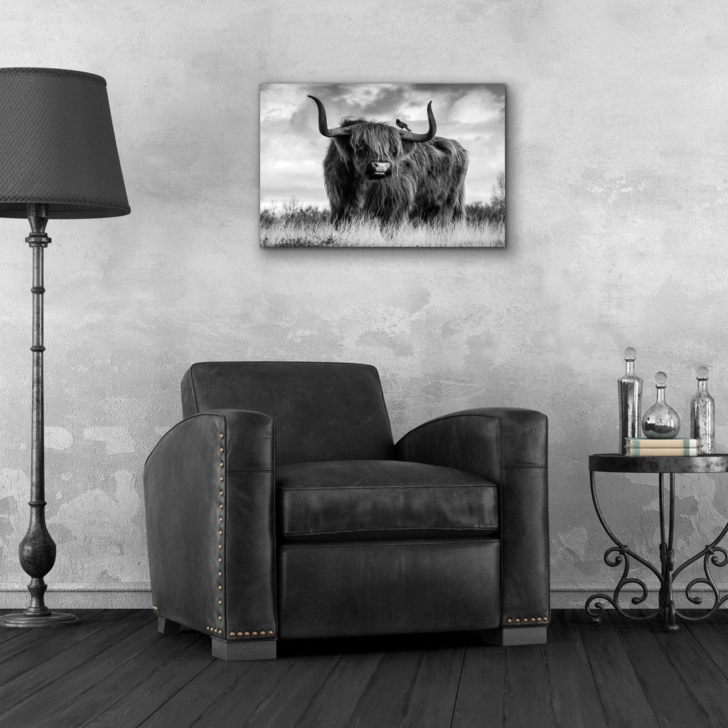 Epic Art 'A Bull' by Ata Alishahi, Acrylic Glass Wall Art,24x16