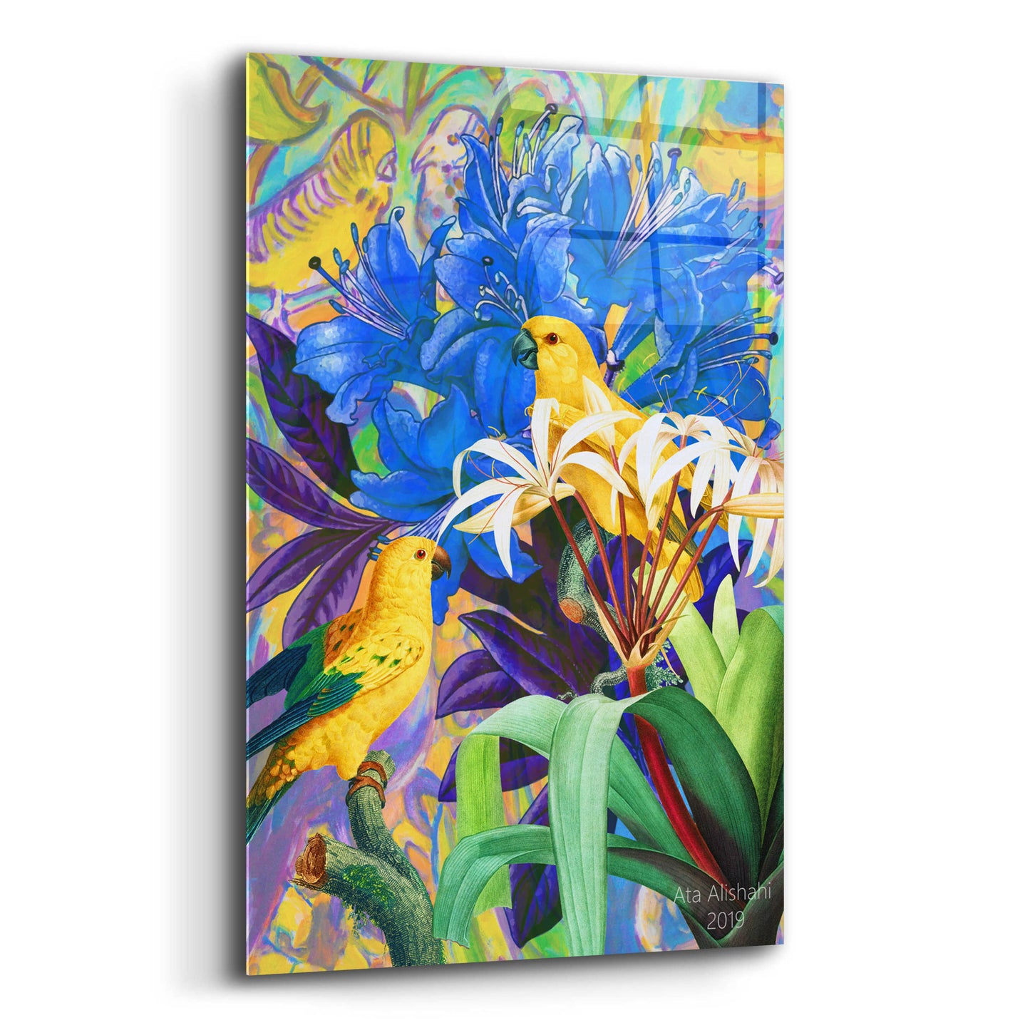 Epic Art 'Bird Kingdom 2' by Ata Alishahi, Acrylic Glass Wall Art,12x16