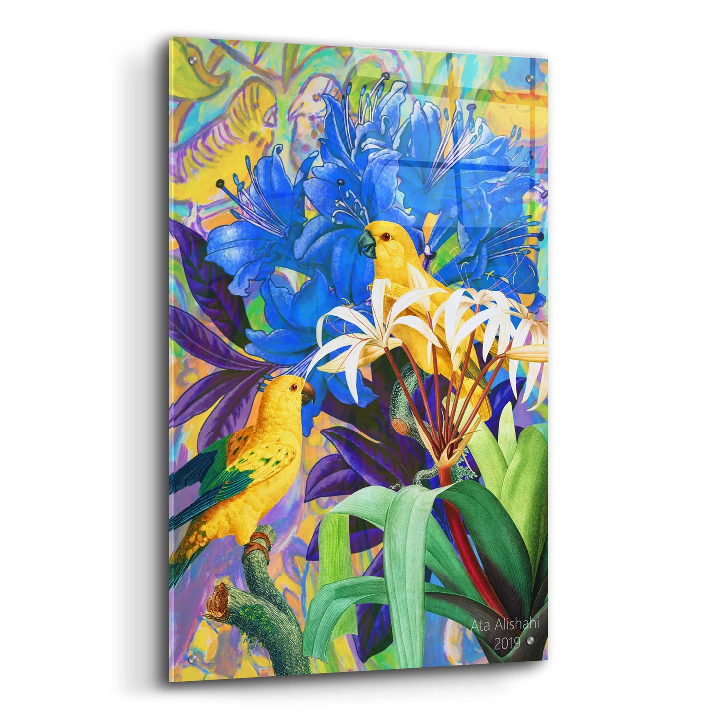 Epic Art 'Bird Kingdom 2' by Ata Alishahi, Acrylic Glass Wall Art,24x36