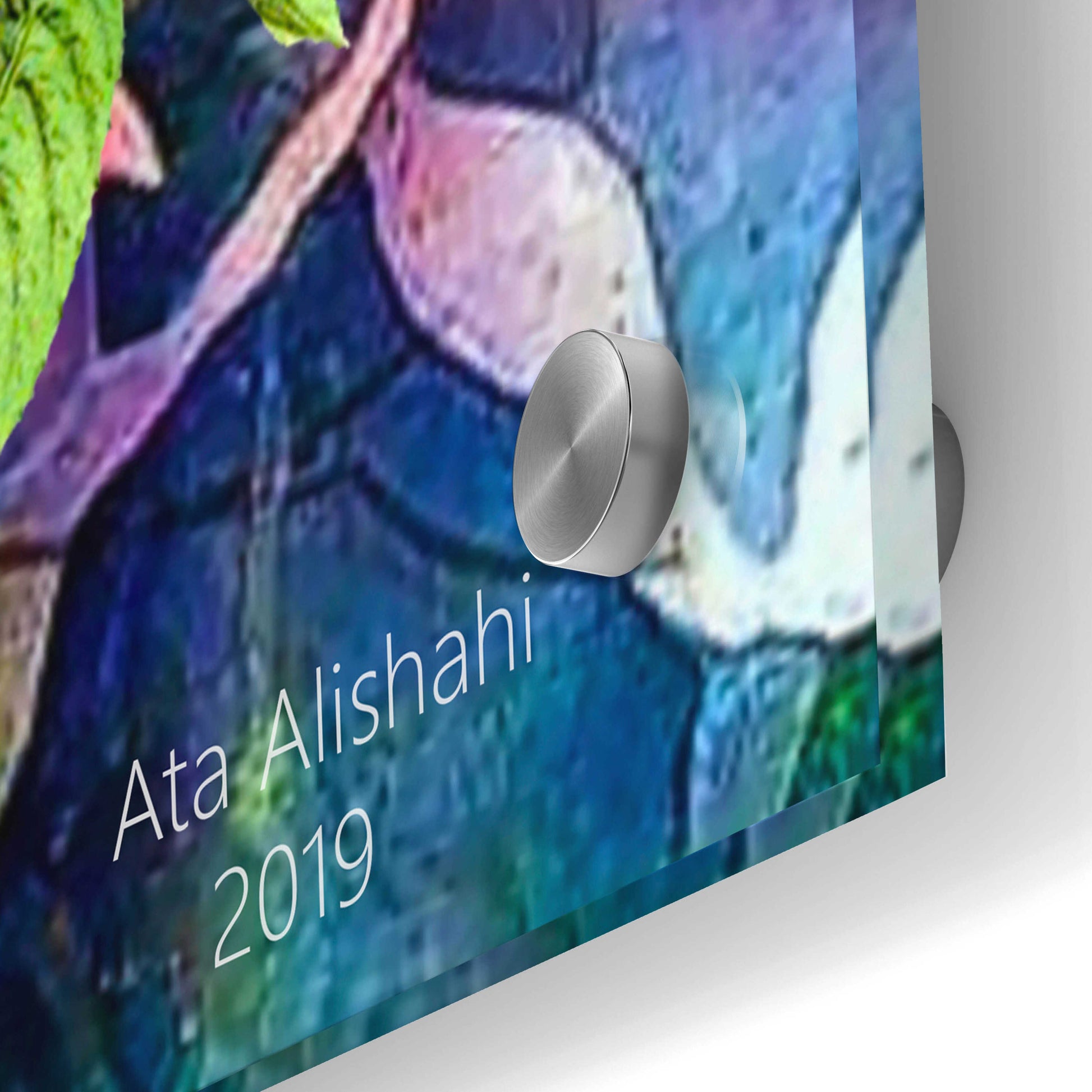 Epic Art 'Flowers P49' by Ata Alishahi, Acrylic Glass Wall Art,24x36