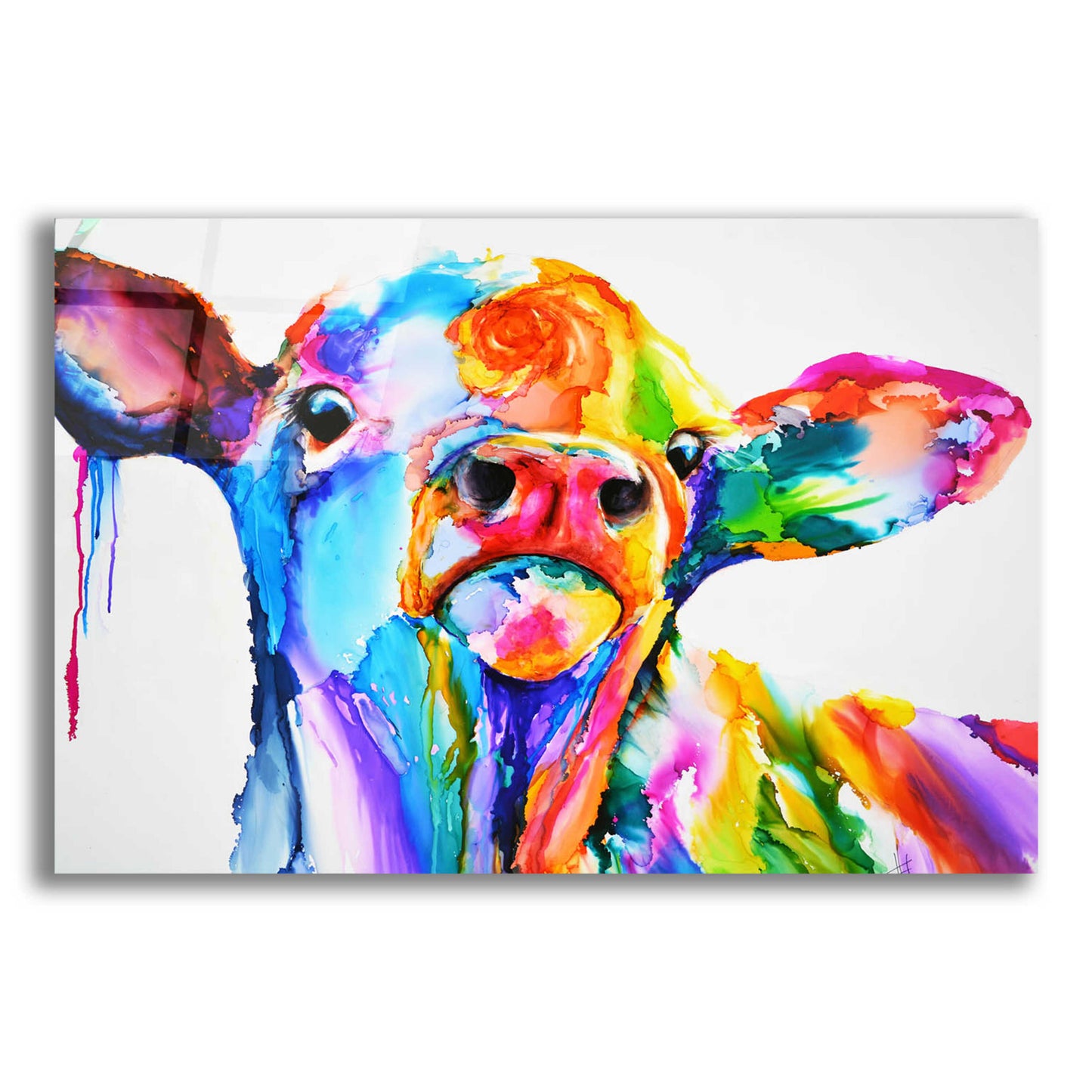 Epic Art 'Do These Colours Make My Calves Look Fat' by Leslie Franklin, Acrylic Glass Wall Art,16x12