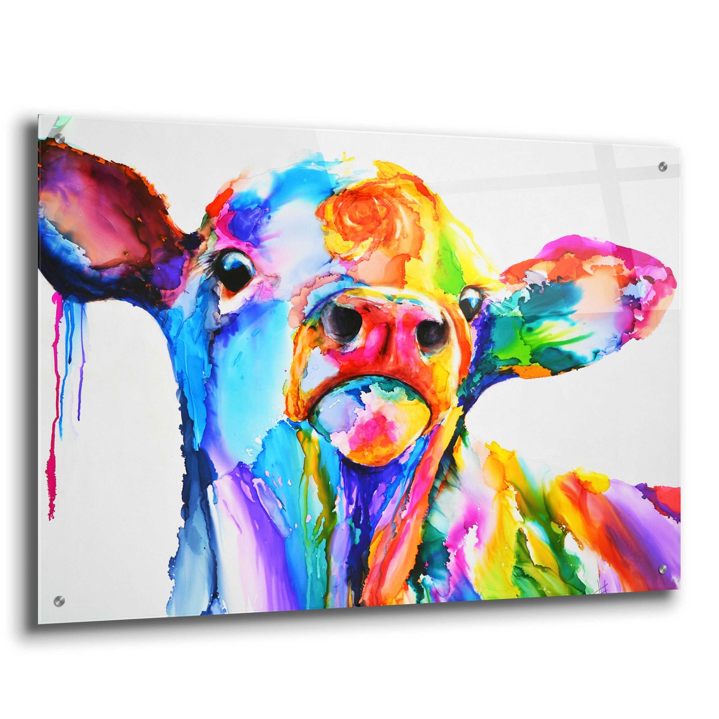 Epic Art 'Do These Colours Make My Calves Look Fat' by Leslie Franklin, Acrylic Glass Wall Art,36x24