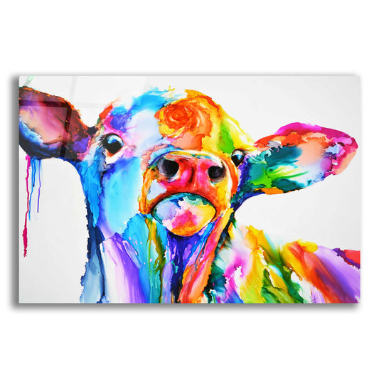 Epic Art 'Do These Colours Make My Calves Look Fat' by Leslie Franklin, Acrylic Glass Wall Art