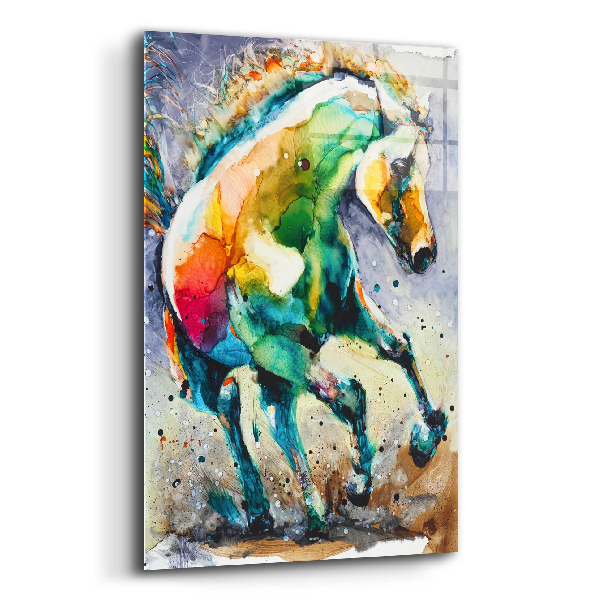 Epic Art 'Horse of Another Color' by Leslie Franklin, Acrylic Glass Wall Art,12x16