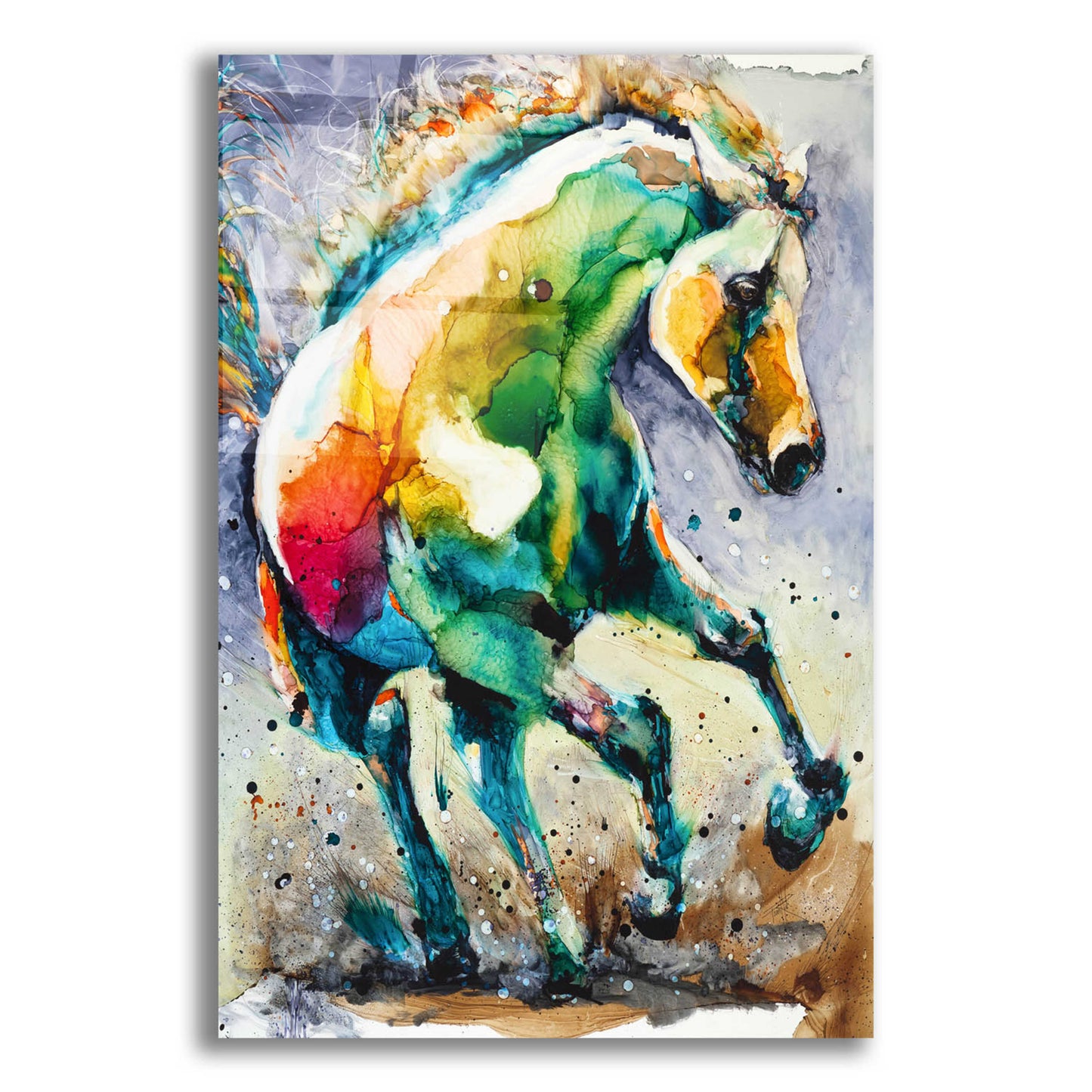 Epic Art 'Horse of Another Color' by Leslie Franklin, Acrylic Glass Wall Art,12x16