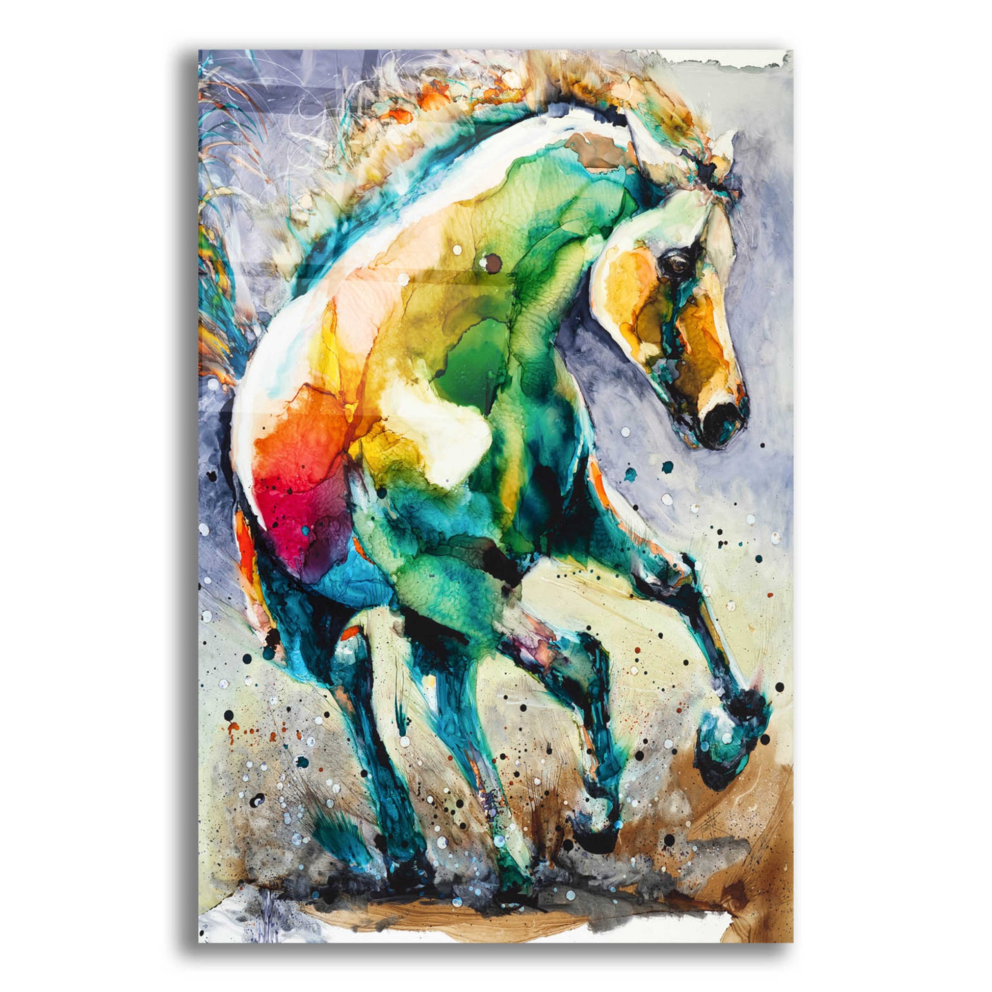 Epic Art 'Horse of Another Color' by Leslie Franklin, Acrylic Glass Wall Art,16x24