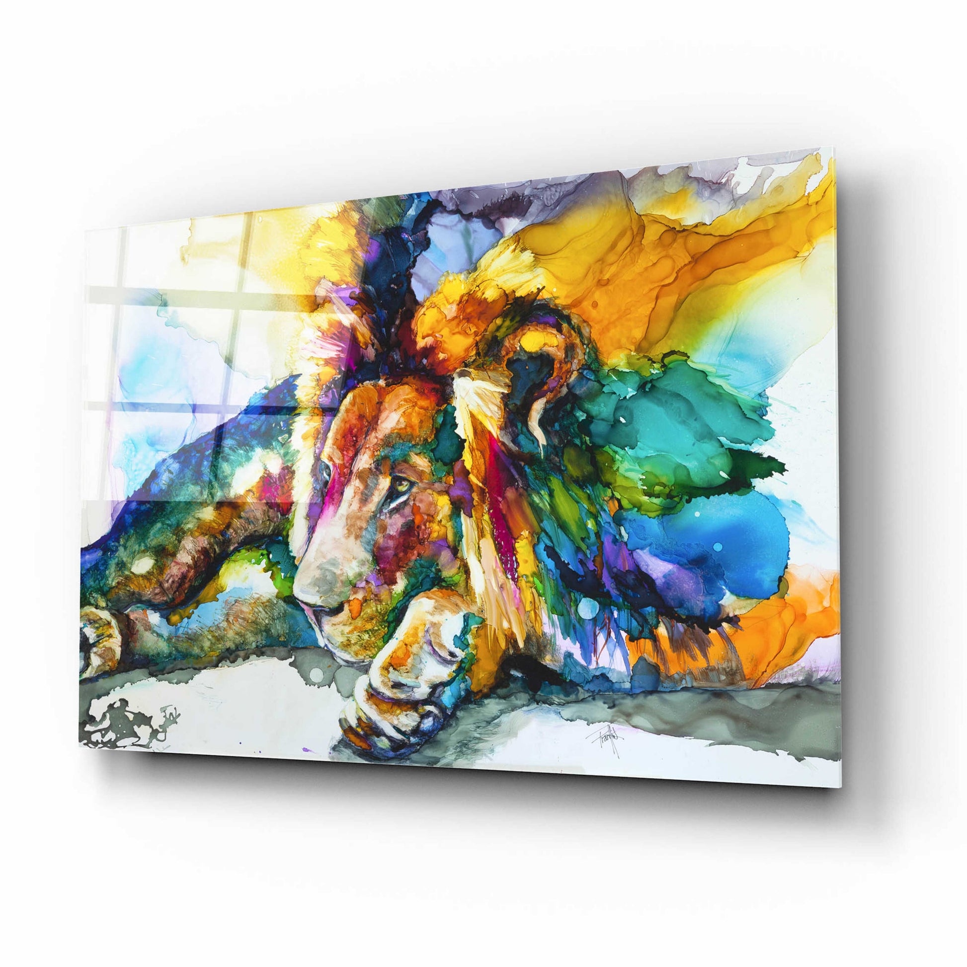 Epic Art 'Lion Around' by Leslie Franklin, Acrylic Glass Wall Art,16x12