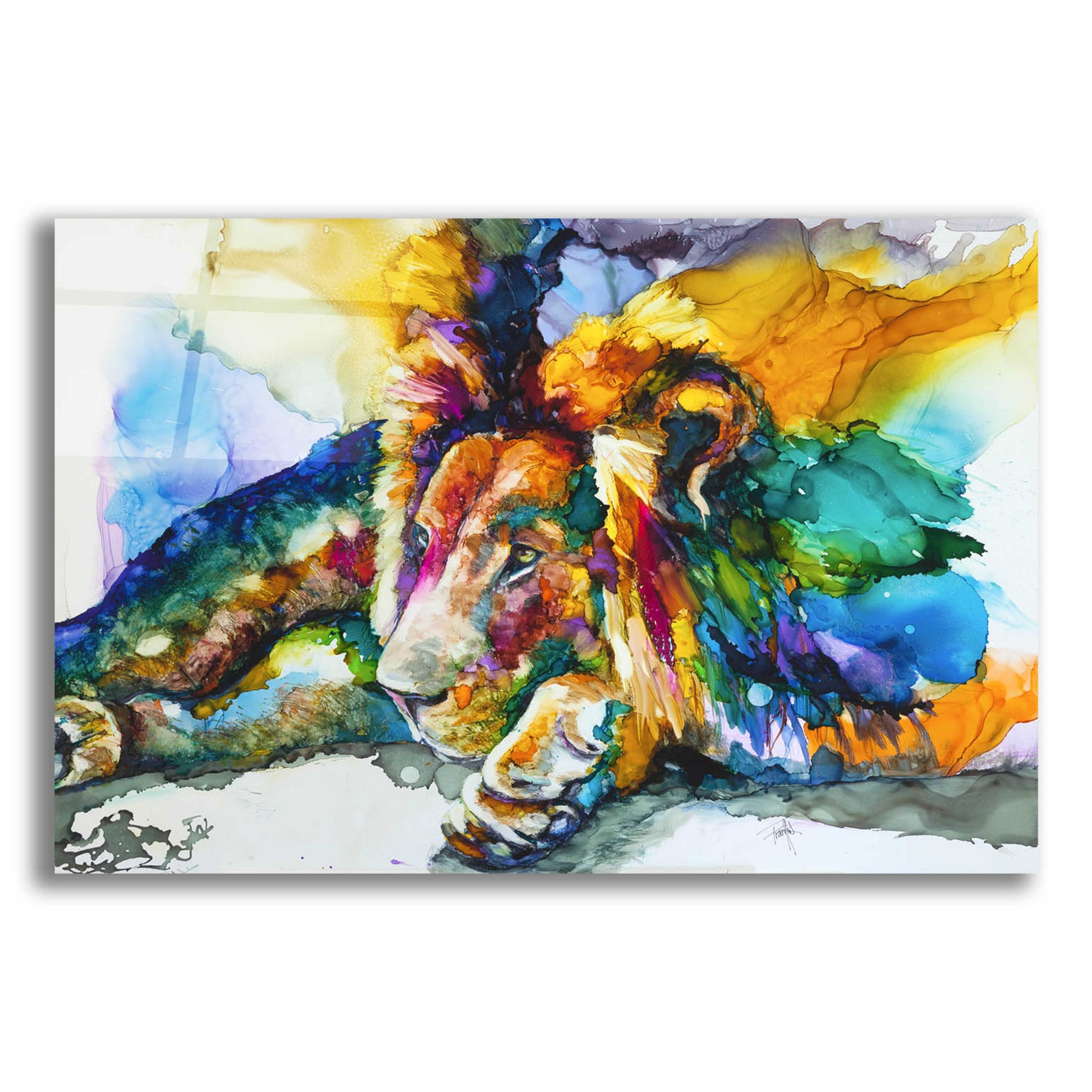 Epic Art 'Lion Around' by Leslie Franklin, Acrylic Glass Wall Art,16x12