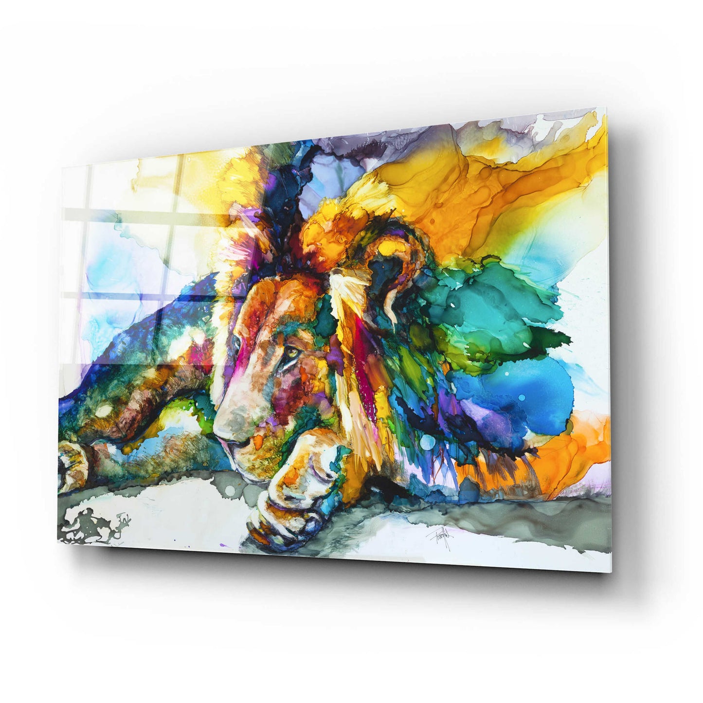 Epic Art 'Lion Around' by Leslie Franklin, Acrylic Glass Wall Art,24x16