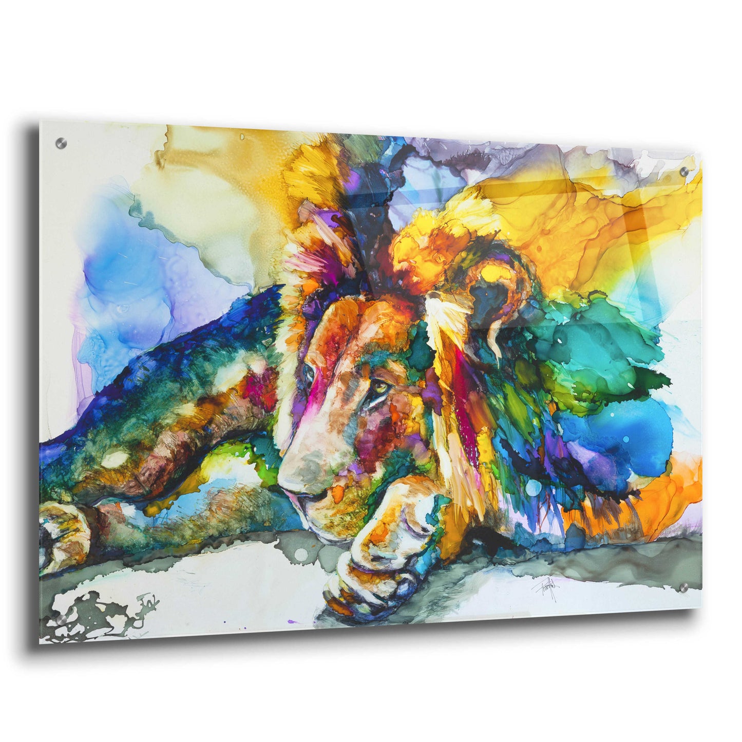 Epic Art 'Lion Around' by Leslie Franklin, Acrylic Glass Wall Art,36x24