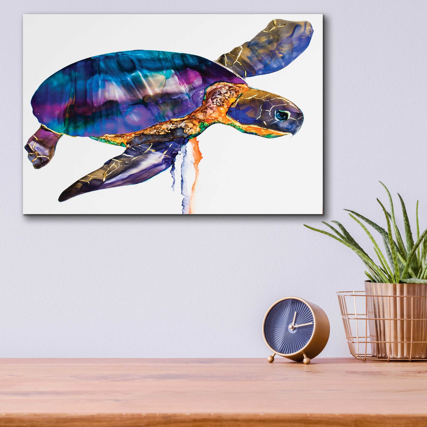 Epic Art 'Sea turtle' by Leslie Franklin, Acrylic Glass Wall Art,16x12