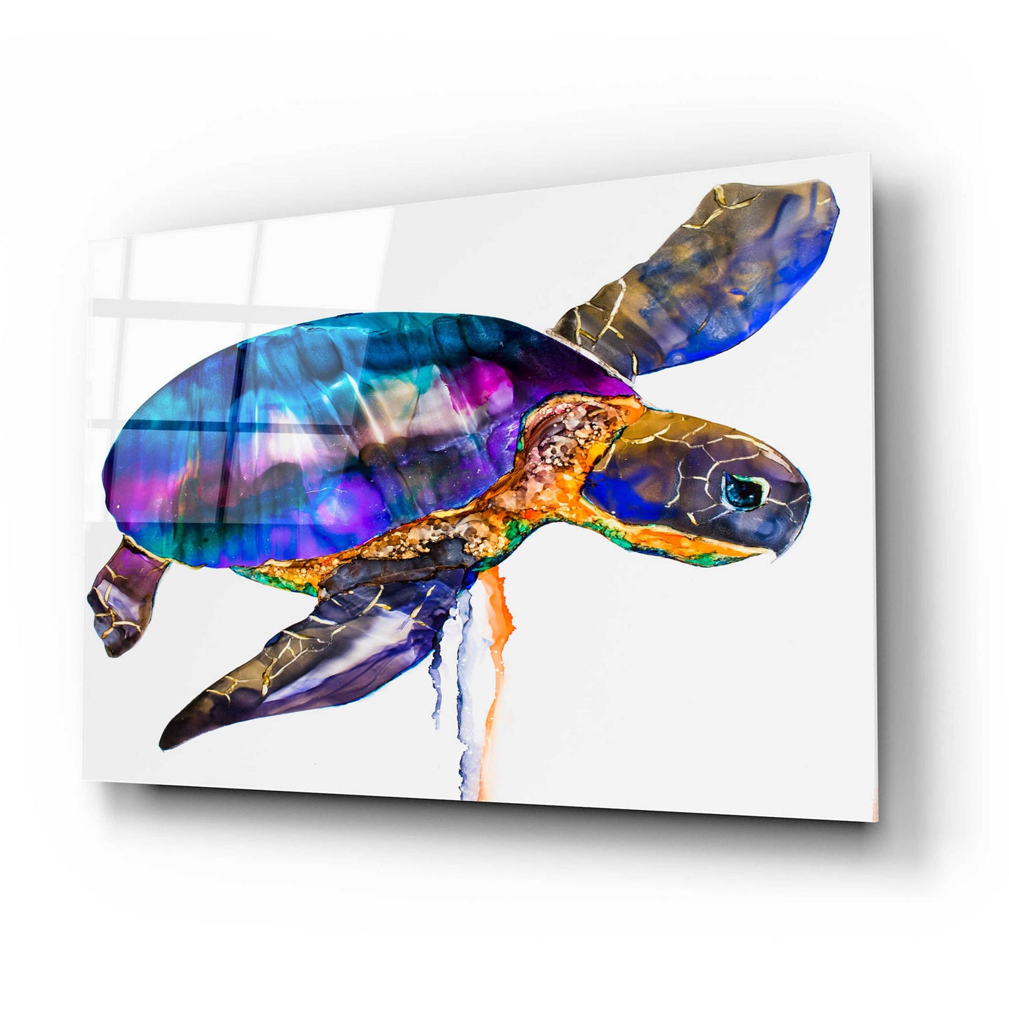 Epic Art 'Sea turtle' by Leslie Franklin, Acrylic Glass Wall Art,24x16