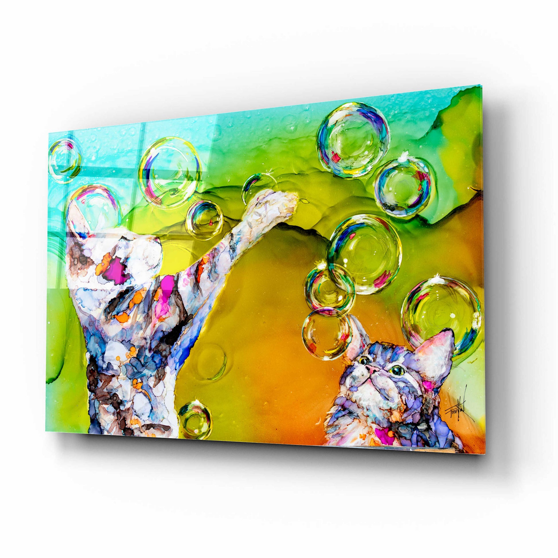 Epic Art 'Double Bubble' by Leslie Franklin, Acrylic Glass Wall Art,16x12