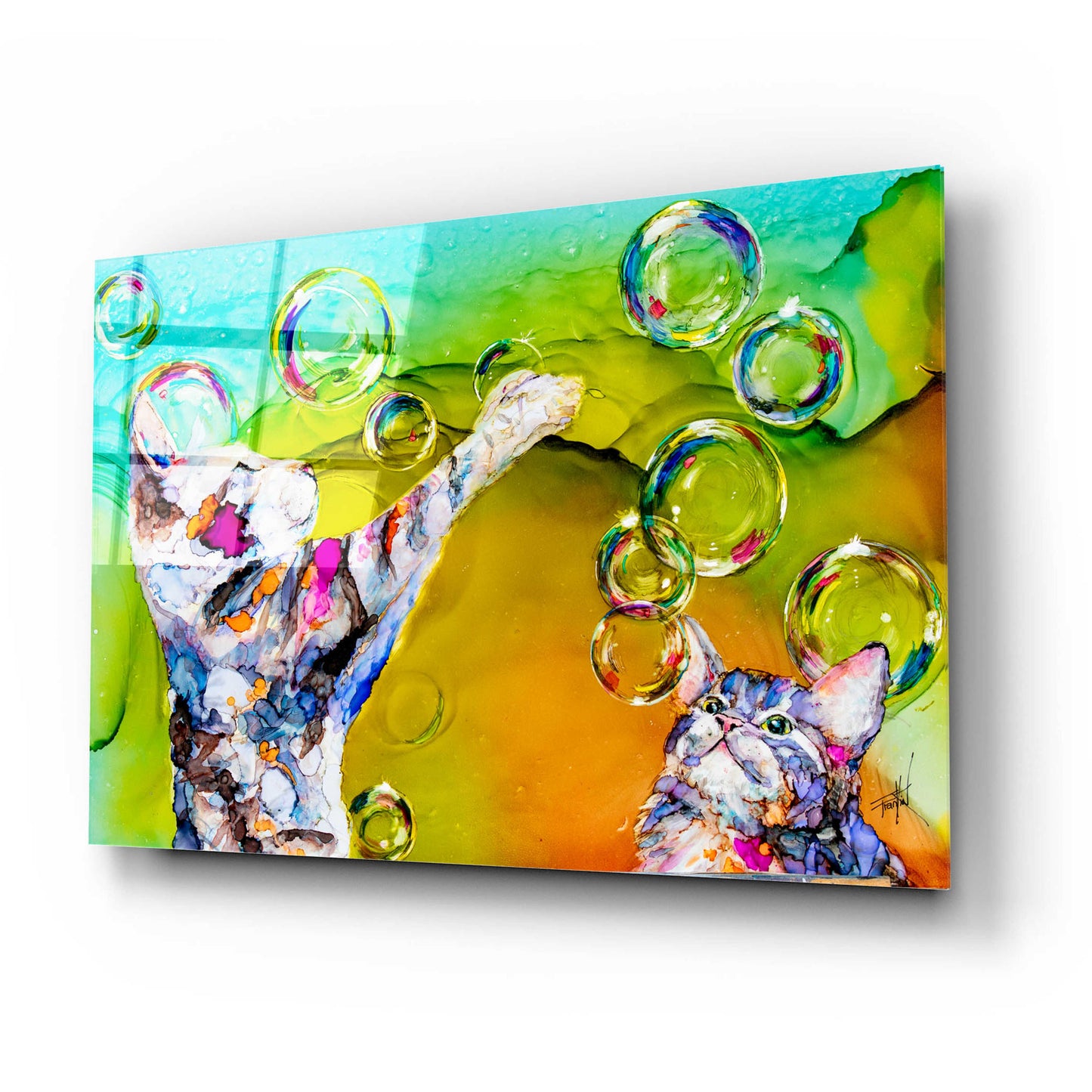 Epic Art 'Double Bubble' by Leslie Franklin, Acrylic Glass Wall Art,24x16