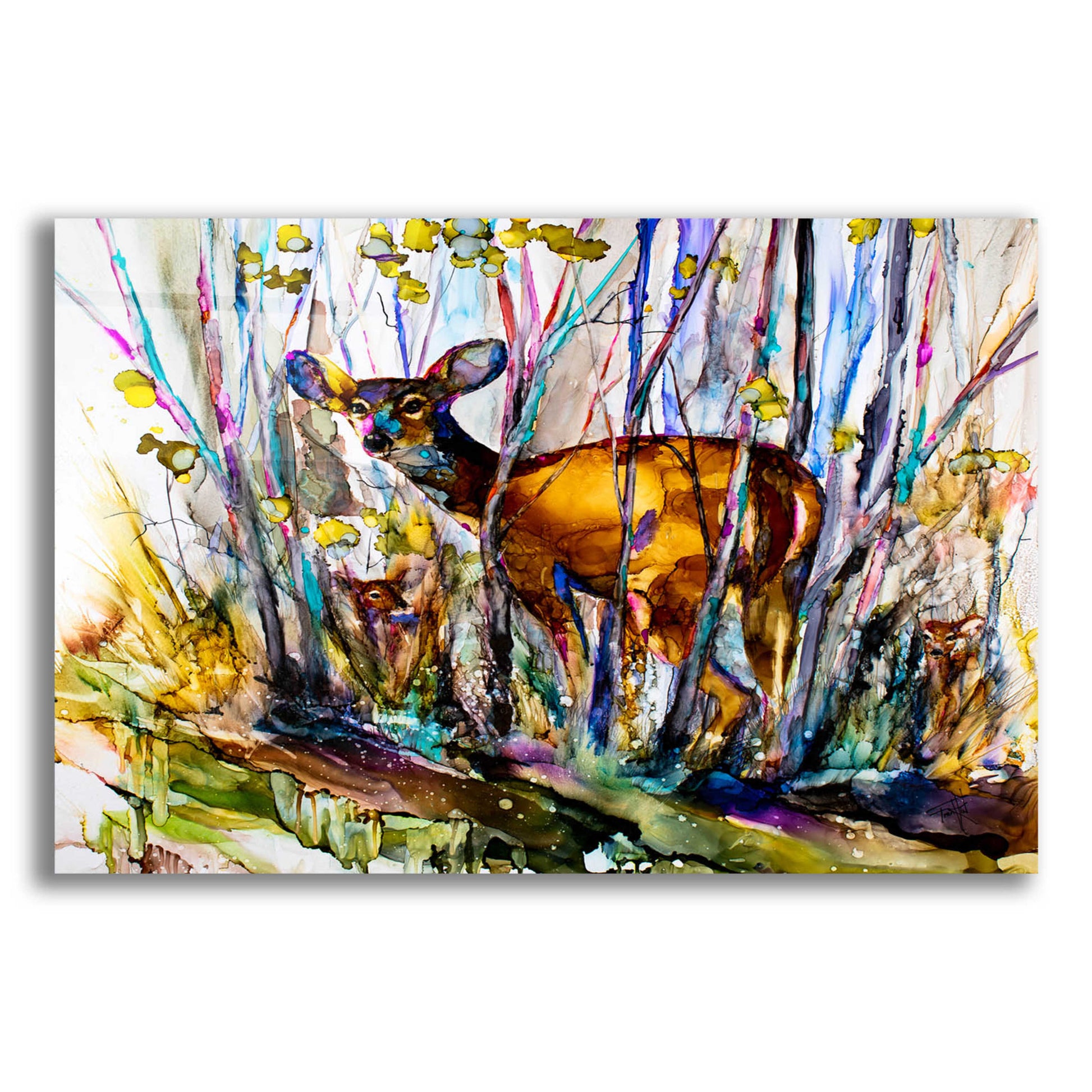 Epic Art 'Oh Deer Me, I See Three' by Leslie Franklin, Acrylic Glass Wall Art,16x12