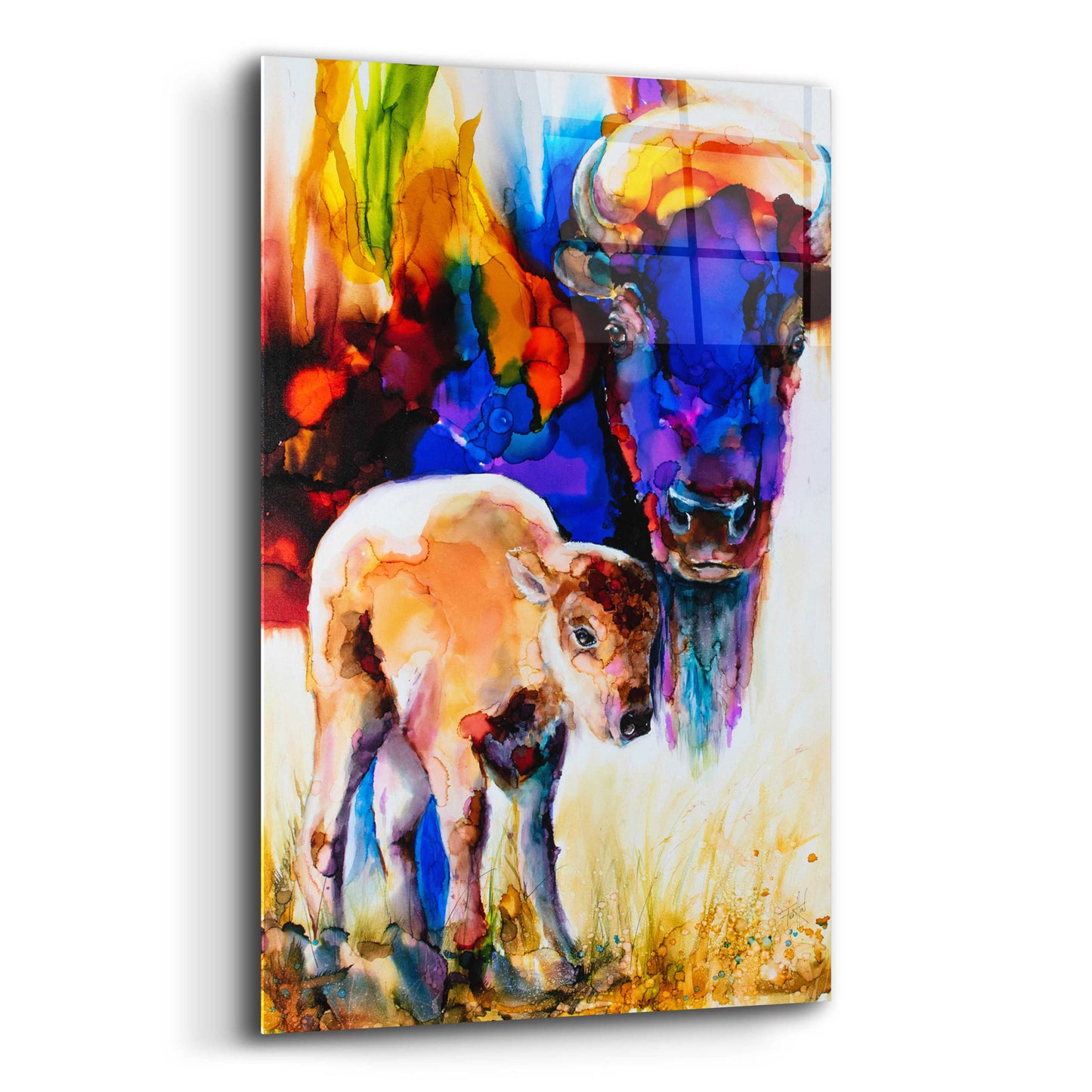 Epic Art 'Bison By Son_1' by Leslie Franklin, Acrylic Glass Wall Art,12x16